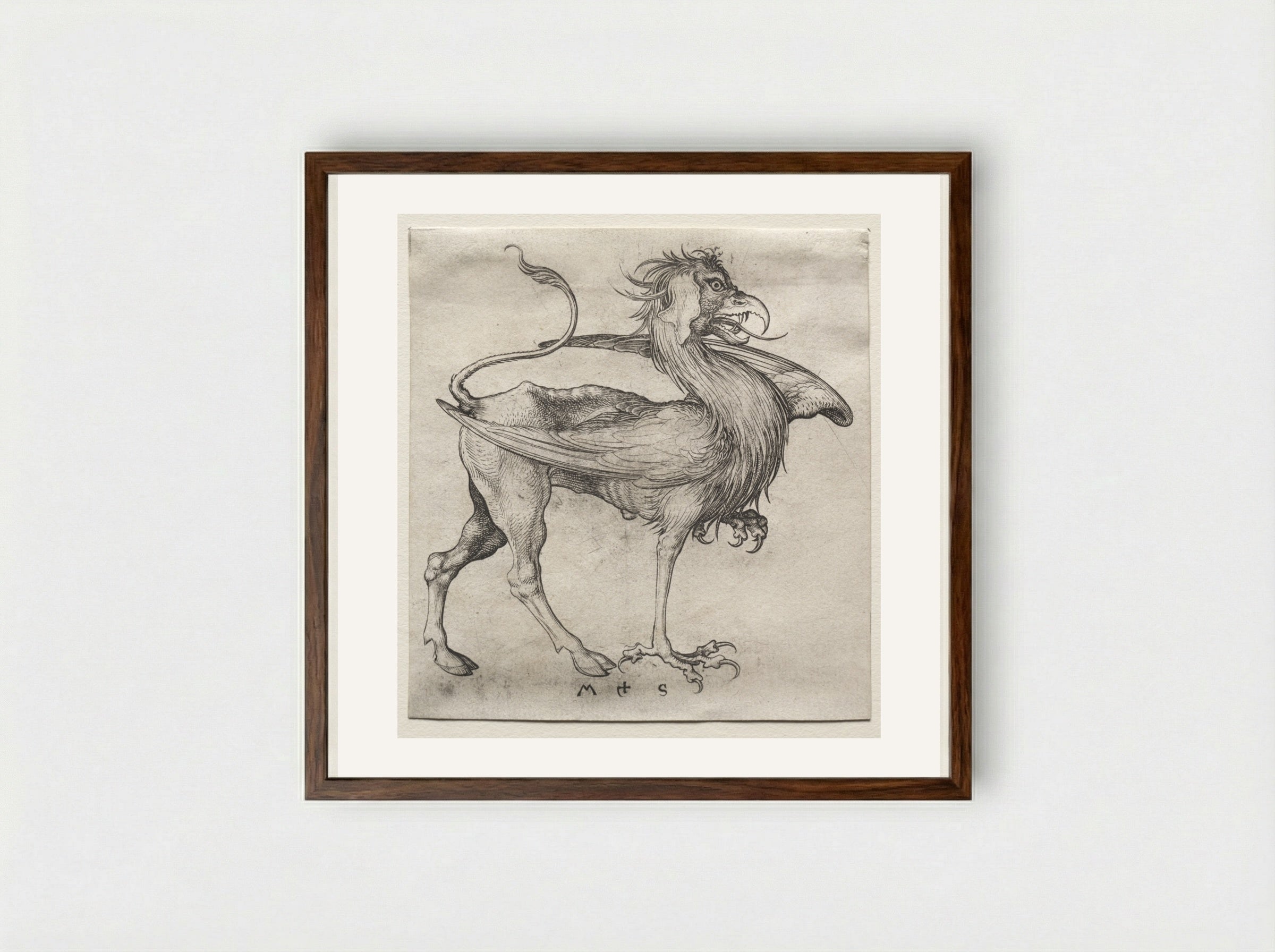 The Griffin - Martin Schongauer - Framed Print Dark Wood