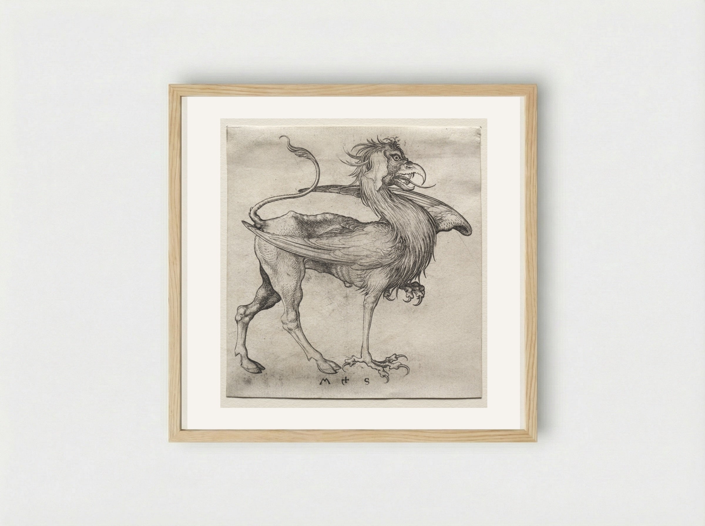The Griffin - Martin Schongauer - Framed Print Wood