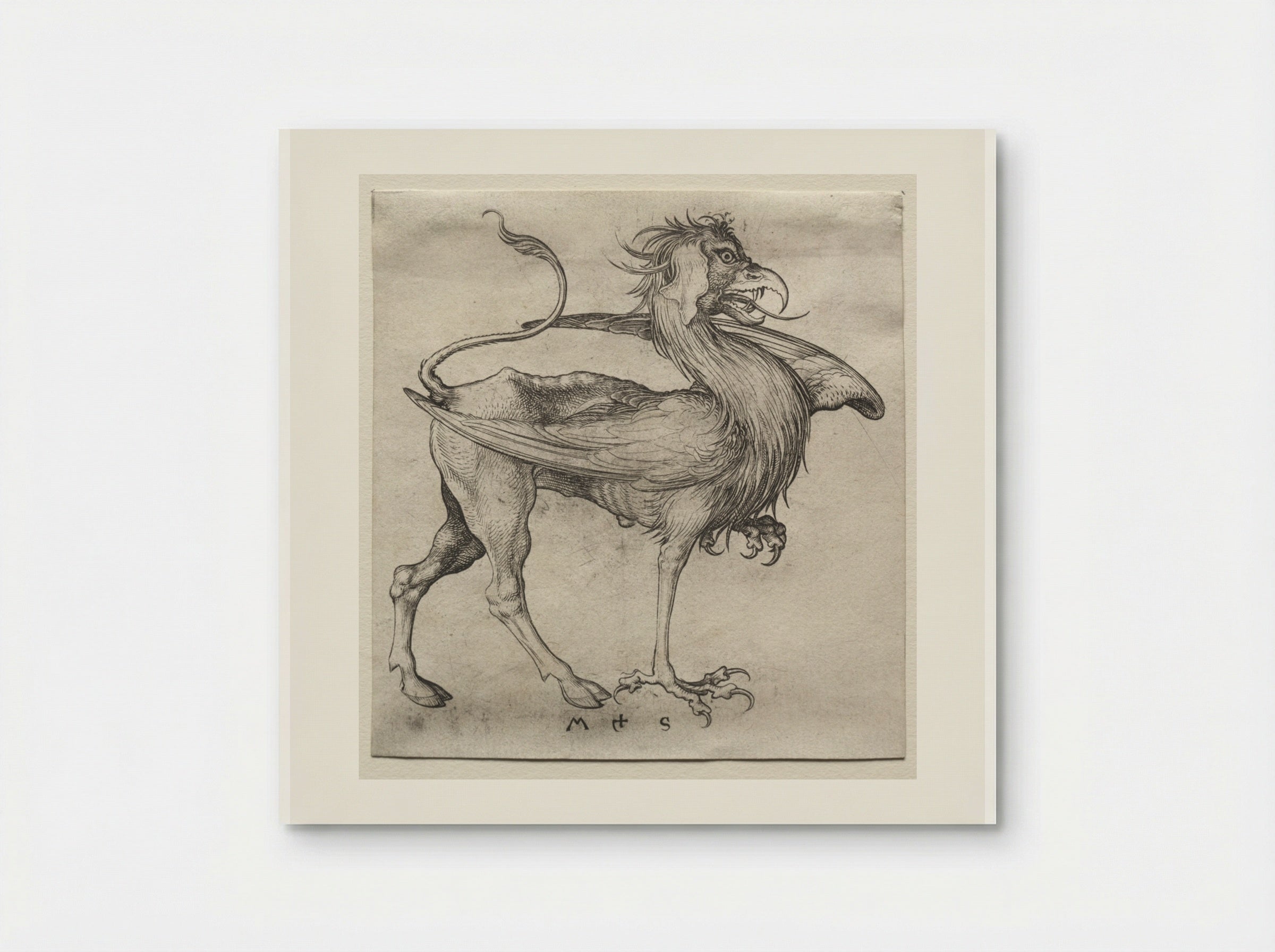 The Griffin - Martin Schongauer - Poster
