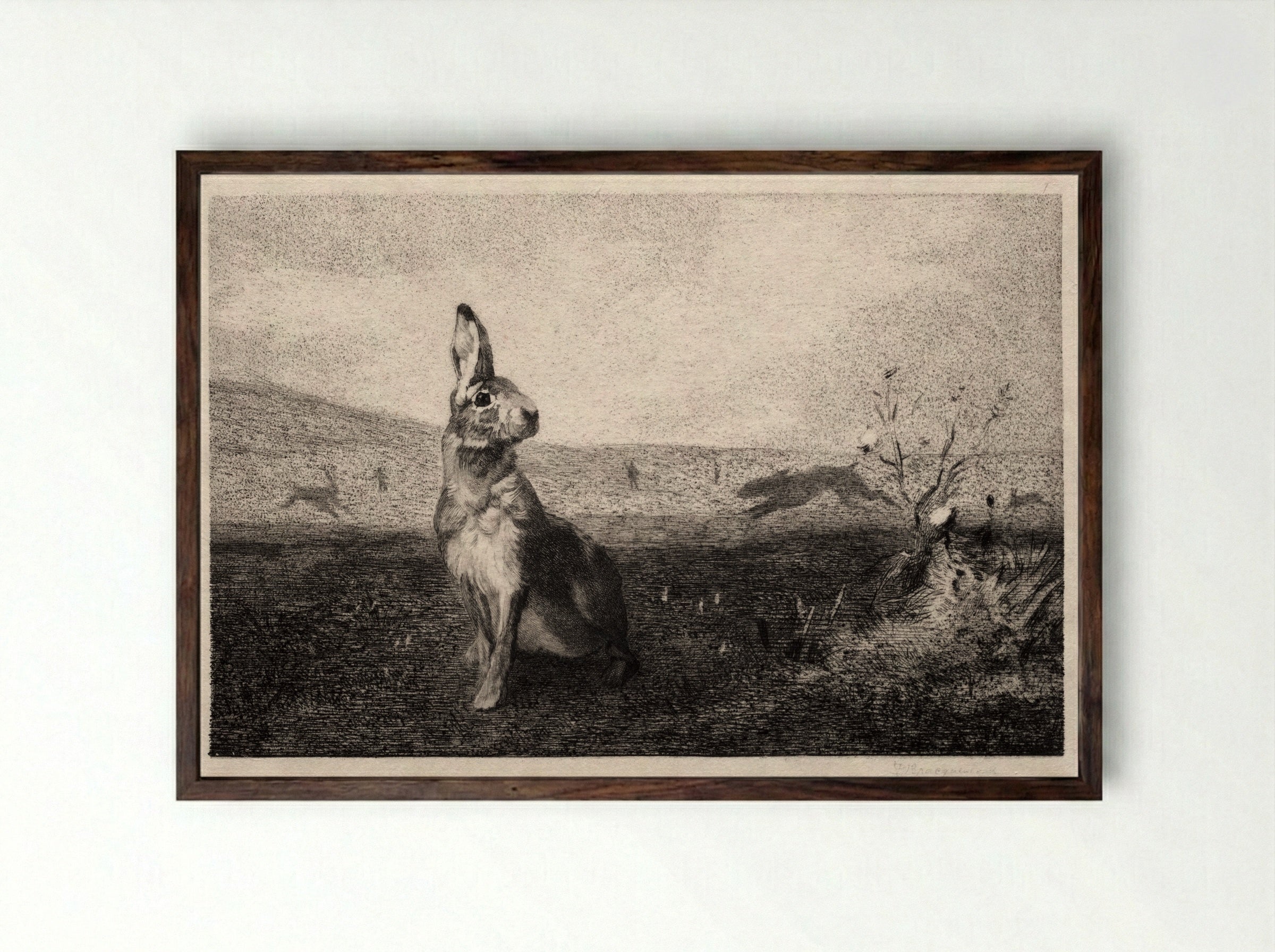 The Hare (after A. de Balleroy) - Félix Bracquemond - Framed Print Dark Wood