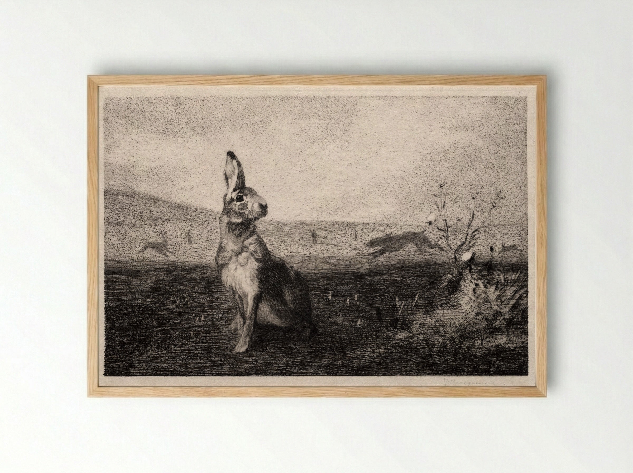 The Hare (after A. de Balleroy) - Félix Bracquemond - Framed Print Wood