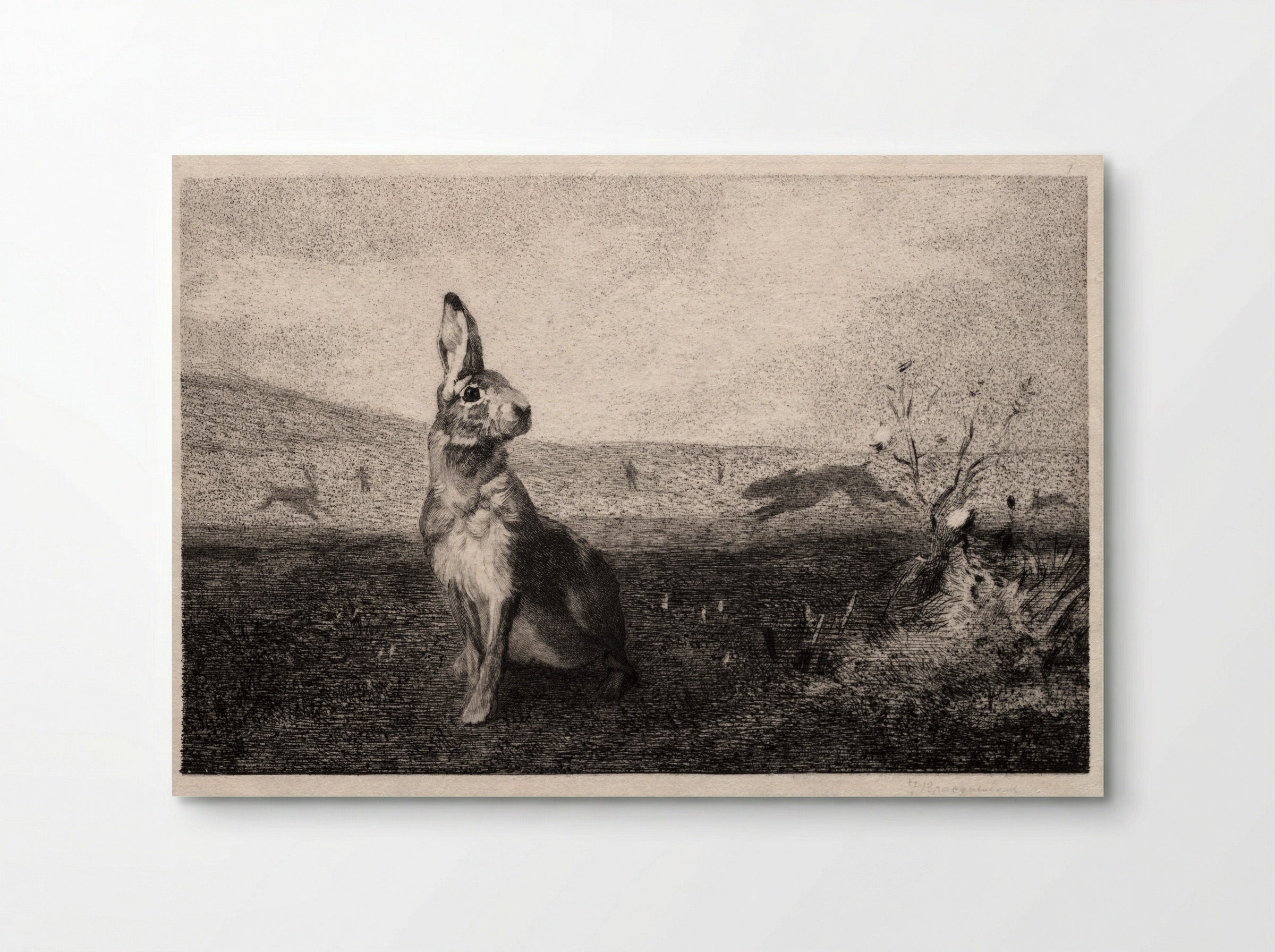 The Hare (after A. de Balleroy) - Félix Bracquemond - Poster
