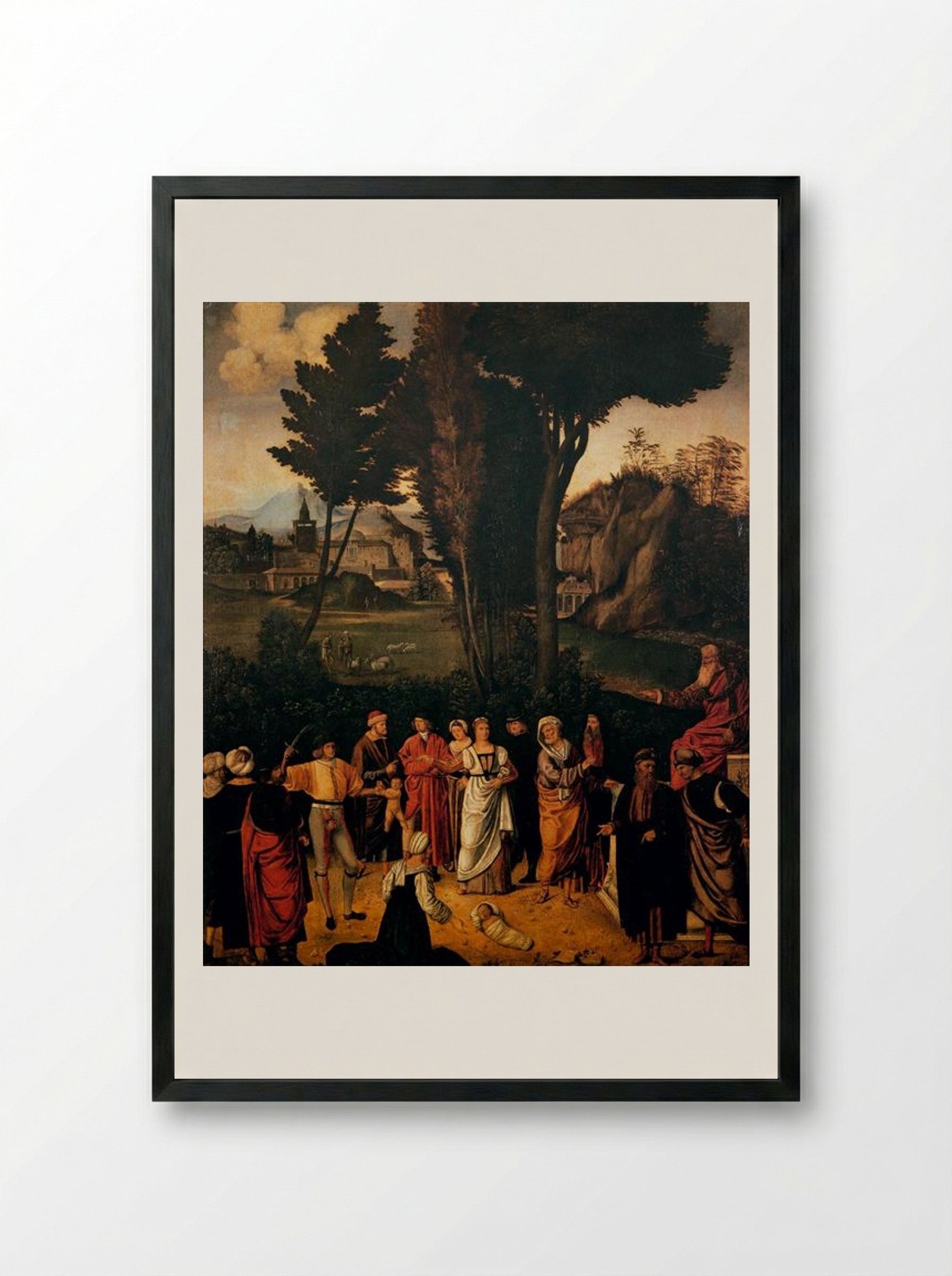 The Judgement of Solomon - Giorgione - Framed Print Black