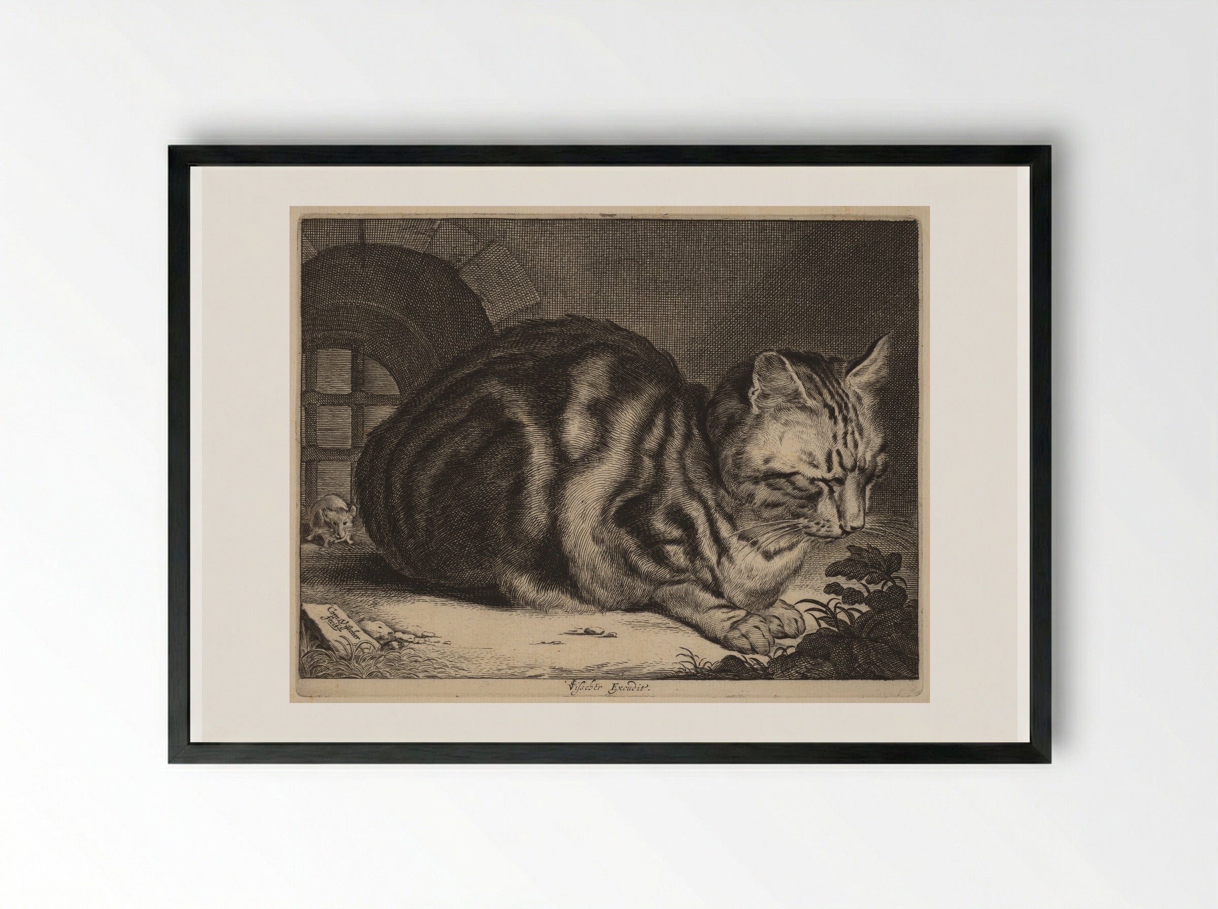The Large Cat - Cornelis Visscher - Framed Print Black