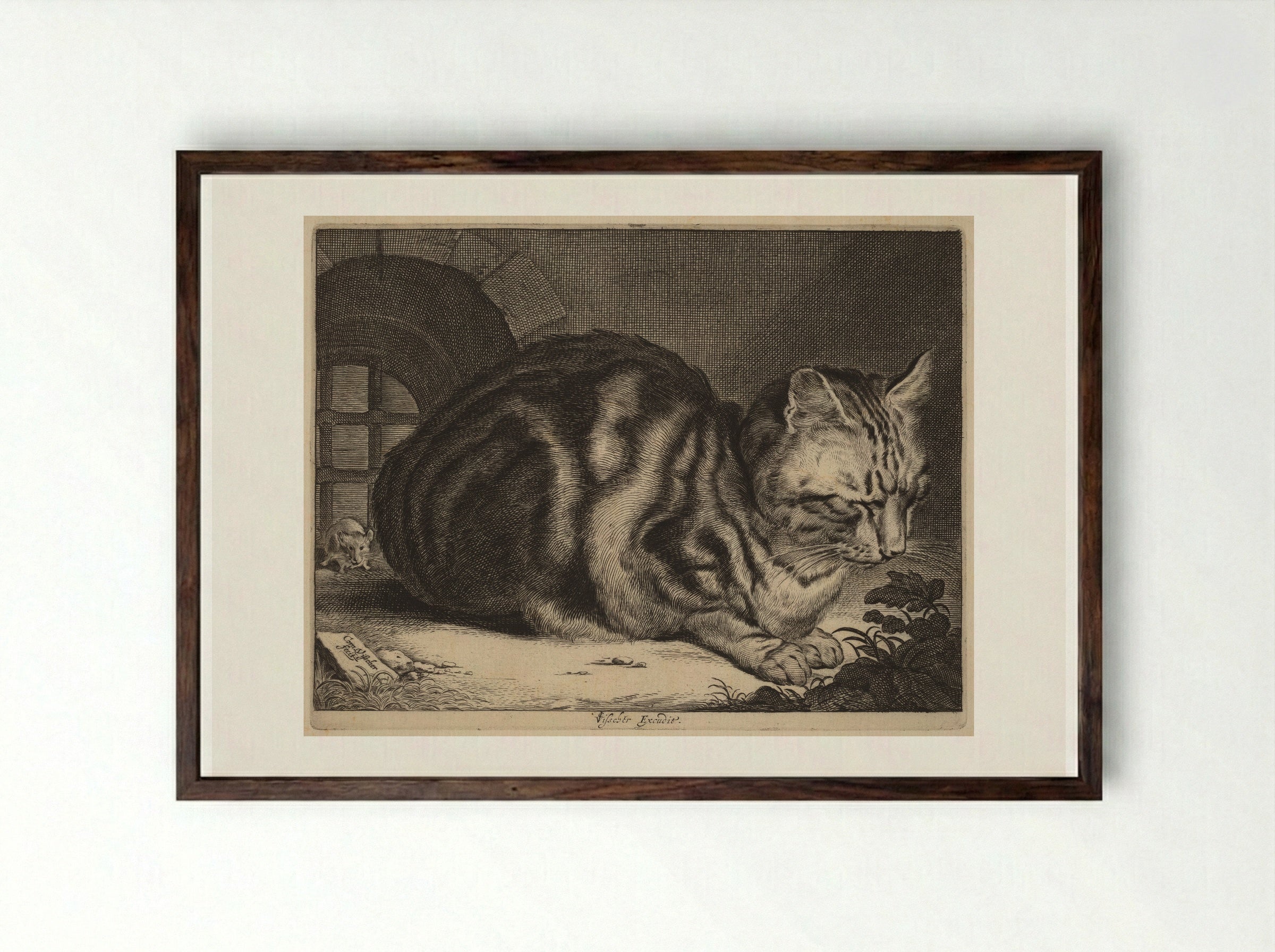 The Large Cat - Cornelis Visscher - Framed Print Dark Wood