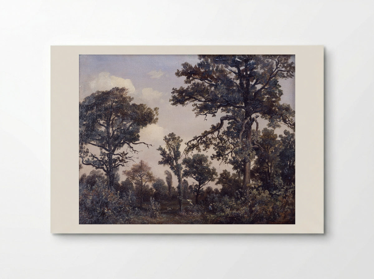 The Large Oak Tree, Forest of Fontainebleau - Théodore Rousseau - Poster