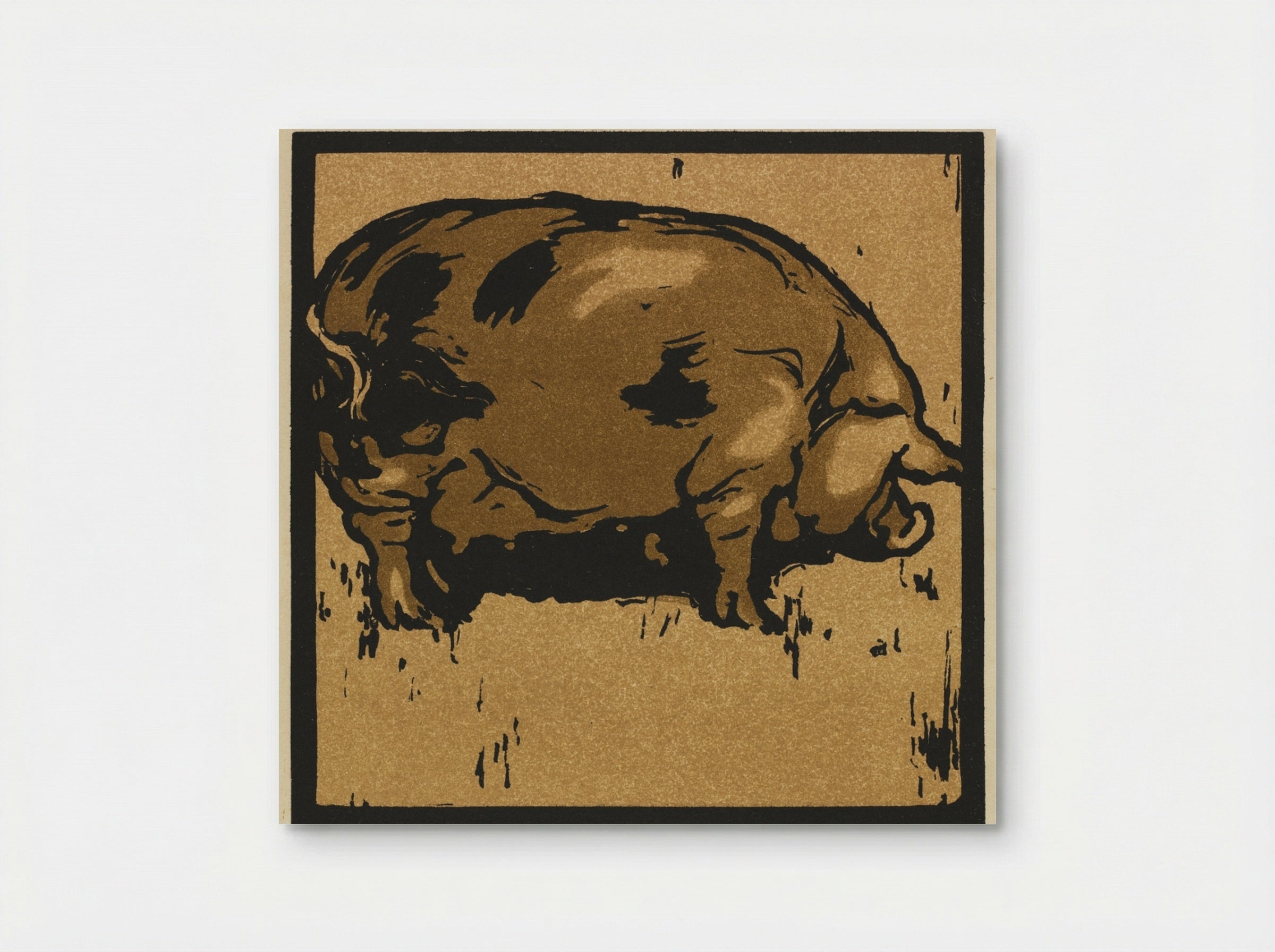 The Learned Pig - William Nicholson - Poster