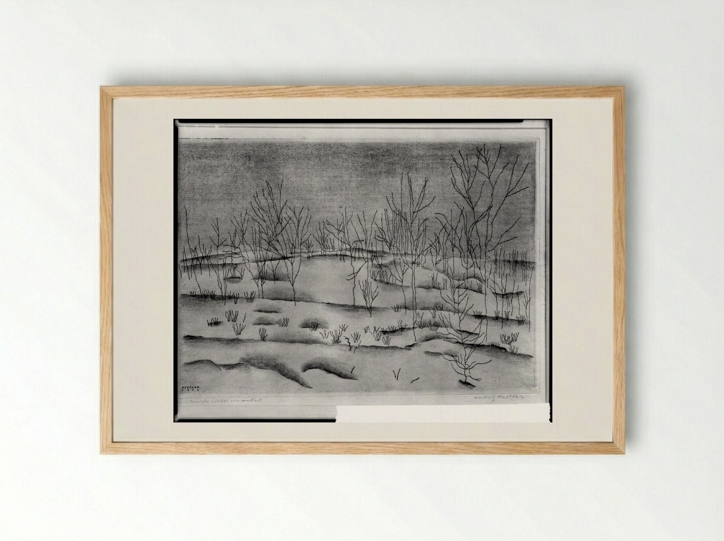 The Loneliness of an American Winter - Ludwig Mestler - Framed Print Wood