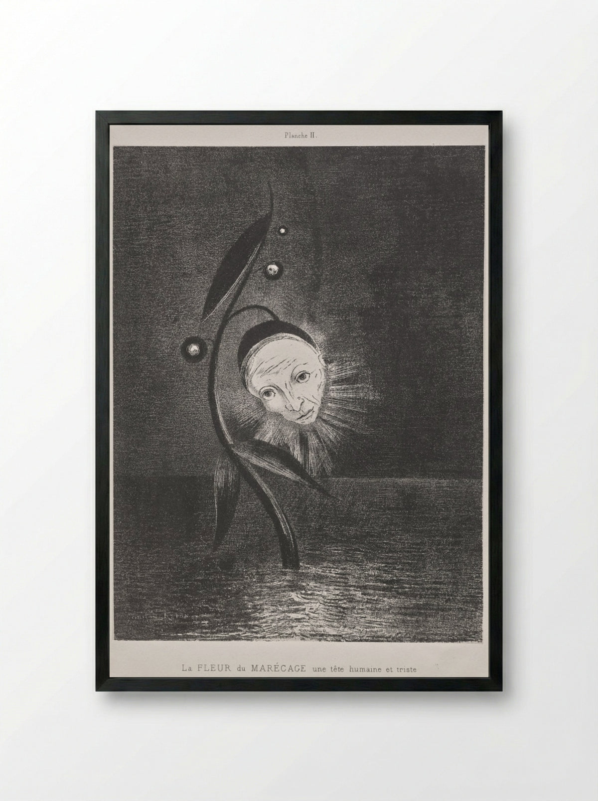 The Marsh Flower, a Sad Human Head - Odilon Redon - Framed Print Black