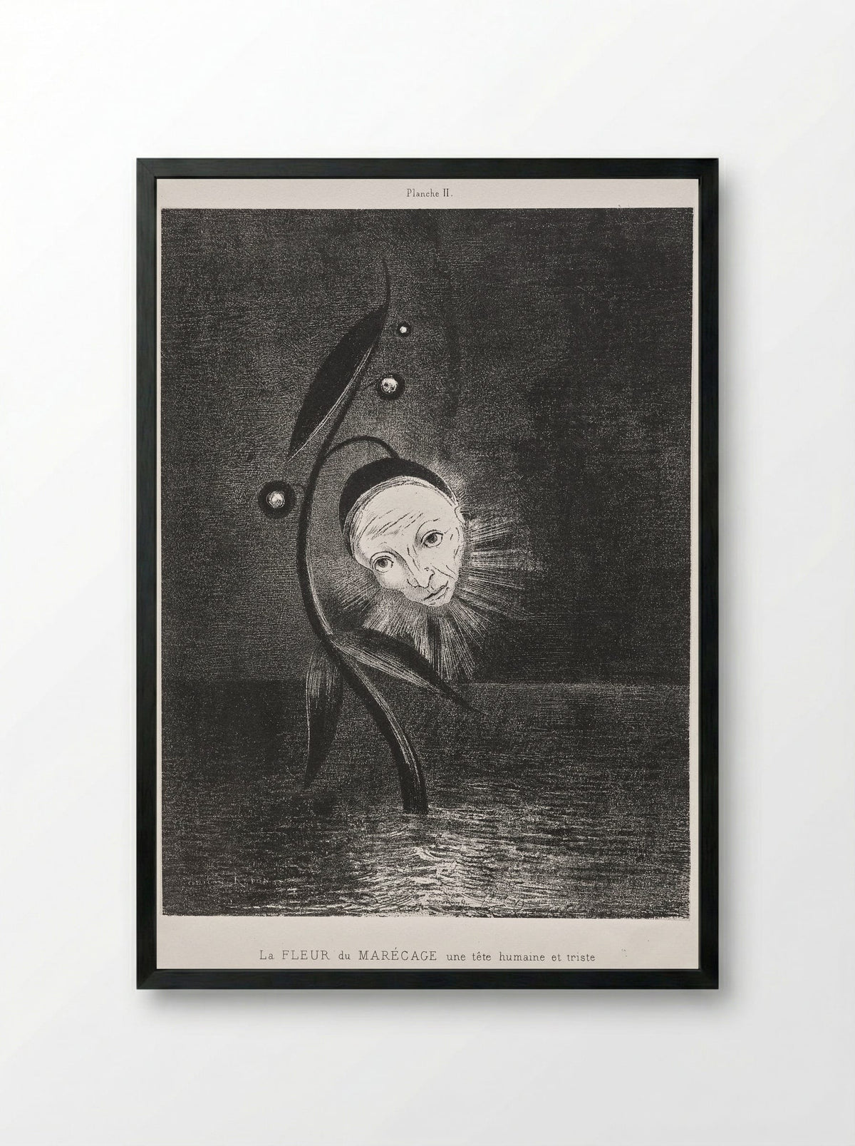 The Marsh Flower, a Sad Human Head - Odilon Redon - Framed Print Black