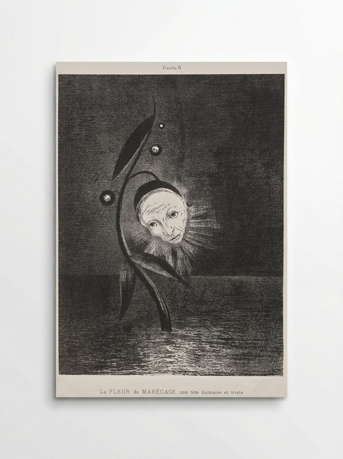 The Marsh Flower, a Sad Human Head - Odilon Redon - Poster