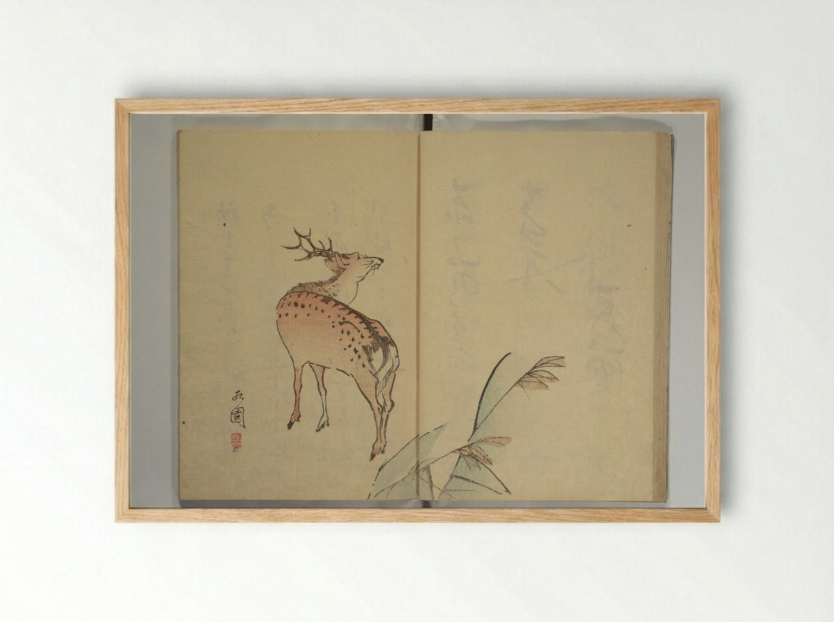 The Nanpo Album - Nagayama Kōin - Framed Print Wood