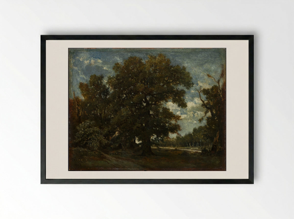 The Oak Tree - Théodore Rousseau - Framed Print Black
