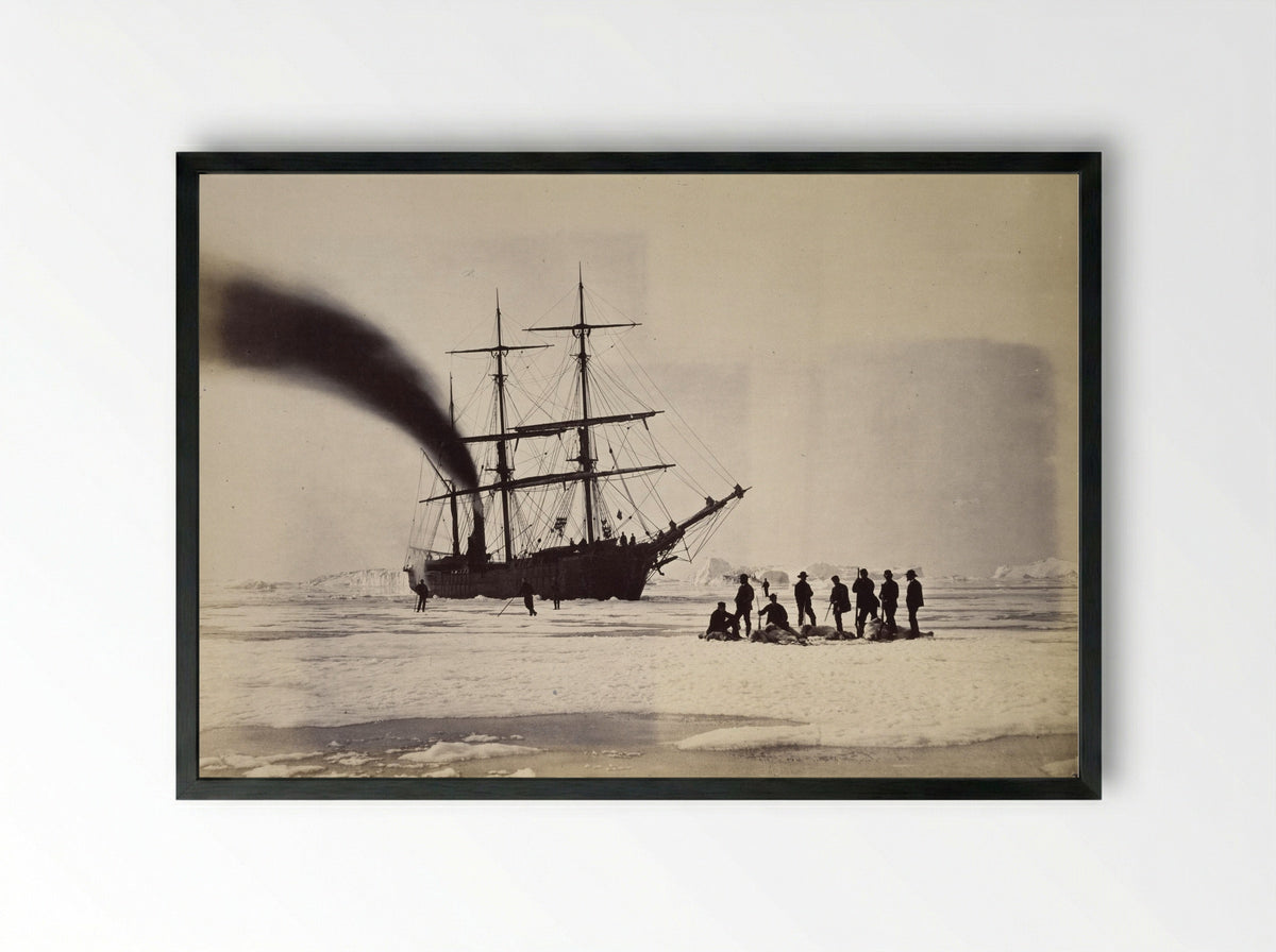 The 'Panther' among the Icebergs in Melville Bay - William Bradford - Framed Print Black