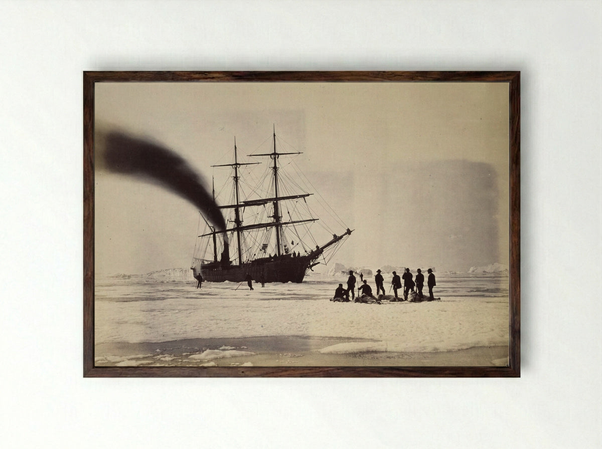 The 'Panther' among the Icebergs in Melville Bay - William Bradford - Framed Print Dark Wood