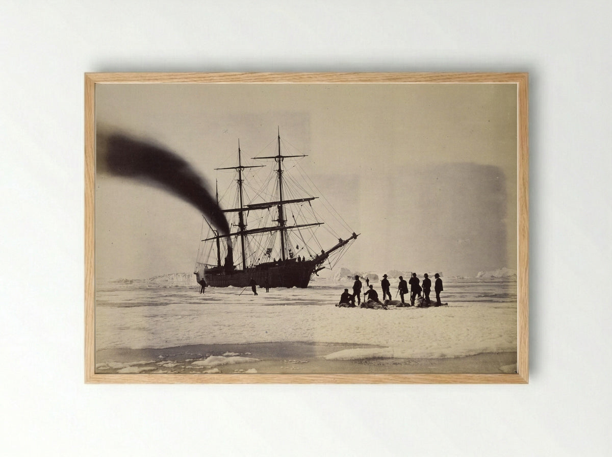 The 'Panther' among the Icebergs in Melville Bay - William Bradford - Framed Print Wood