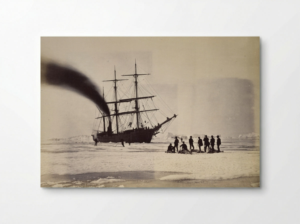 The 'Panther' among the Icebergs in Melville Bay - William Bradford - Poster
