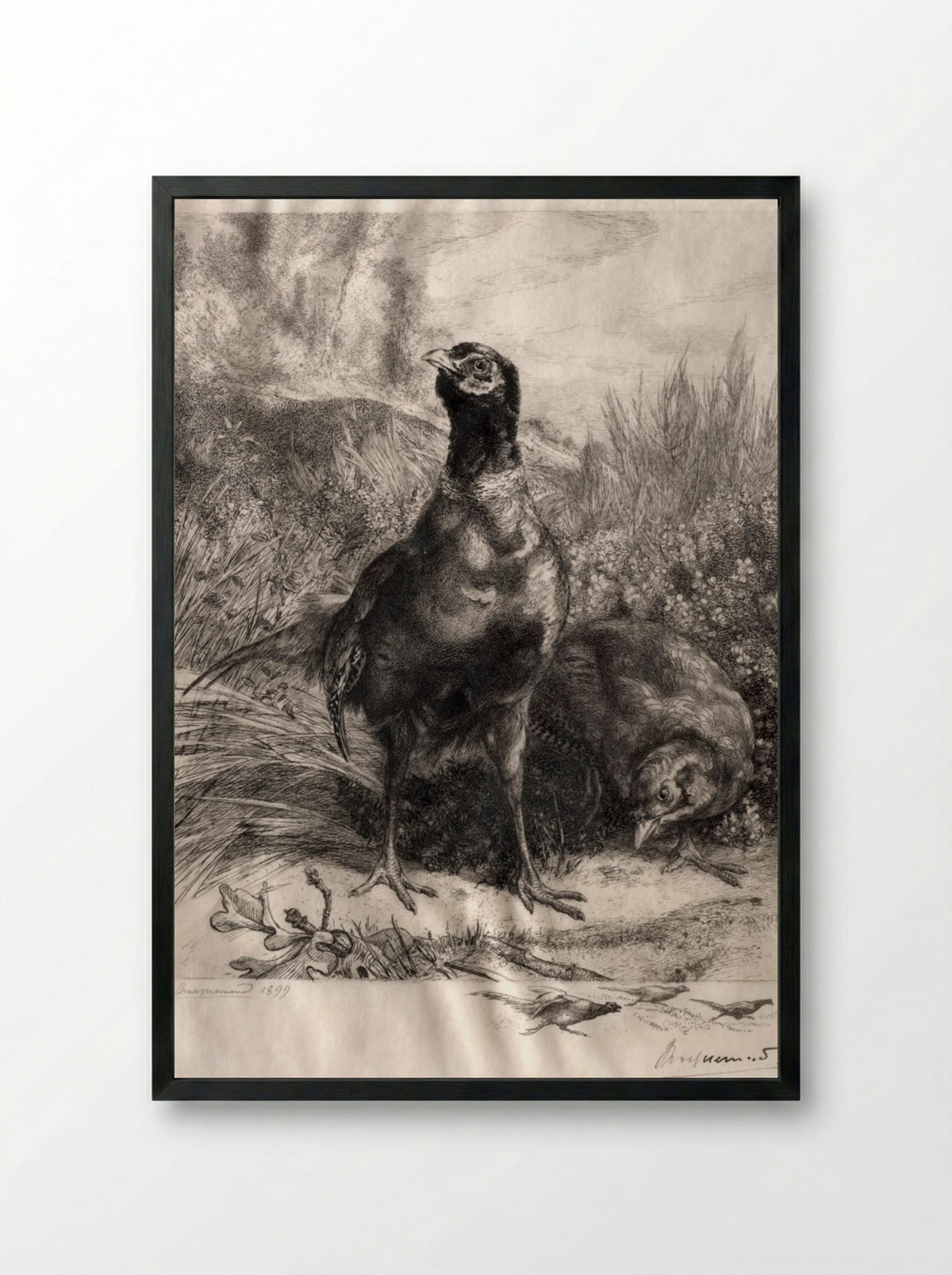 The Pheasants - Félix Bracquemond - Framed Print Black