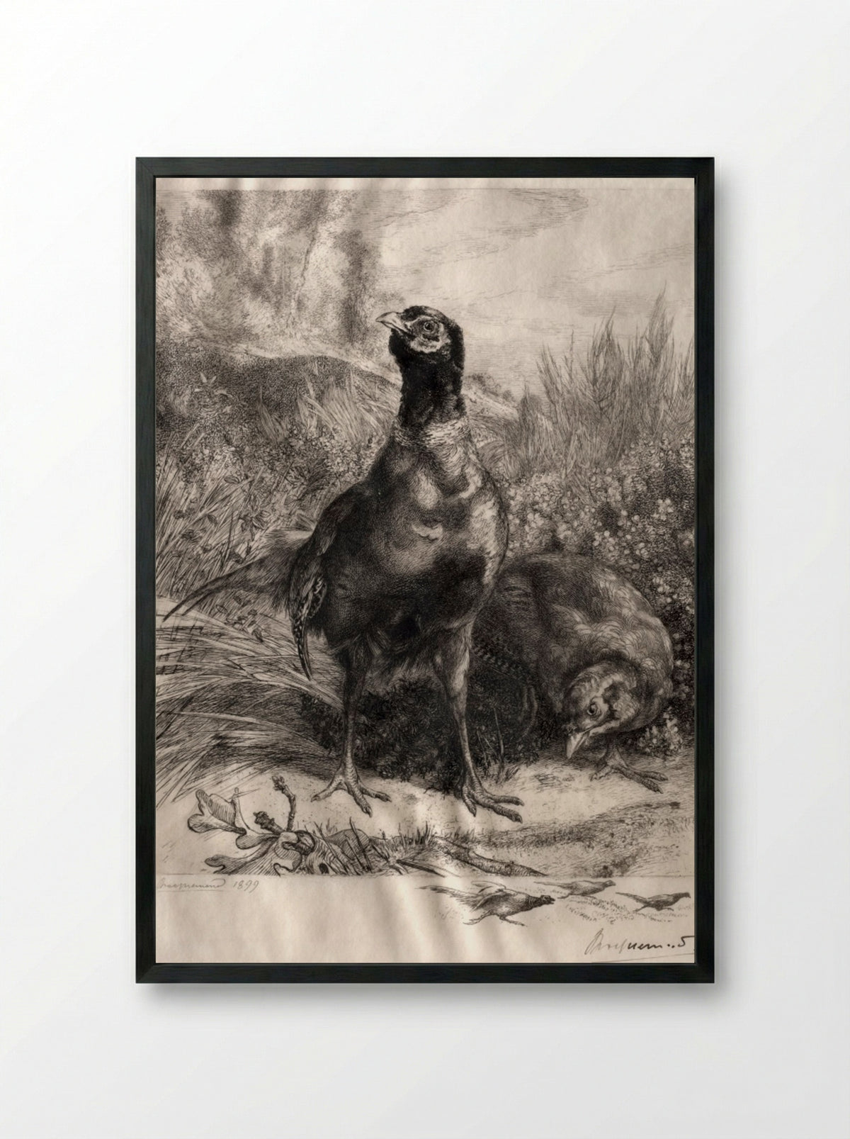 The Pheasants - Félix Bracquemond - Framed Print Black