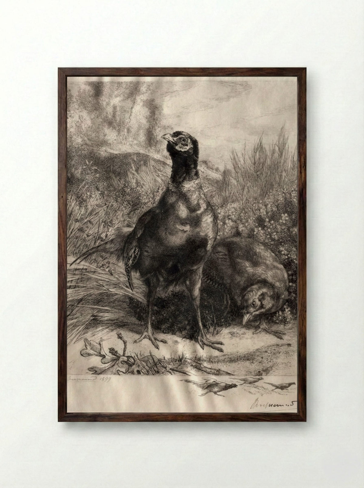 The Pheasants - Félix Bracquemond - Framed Print Dark Wood