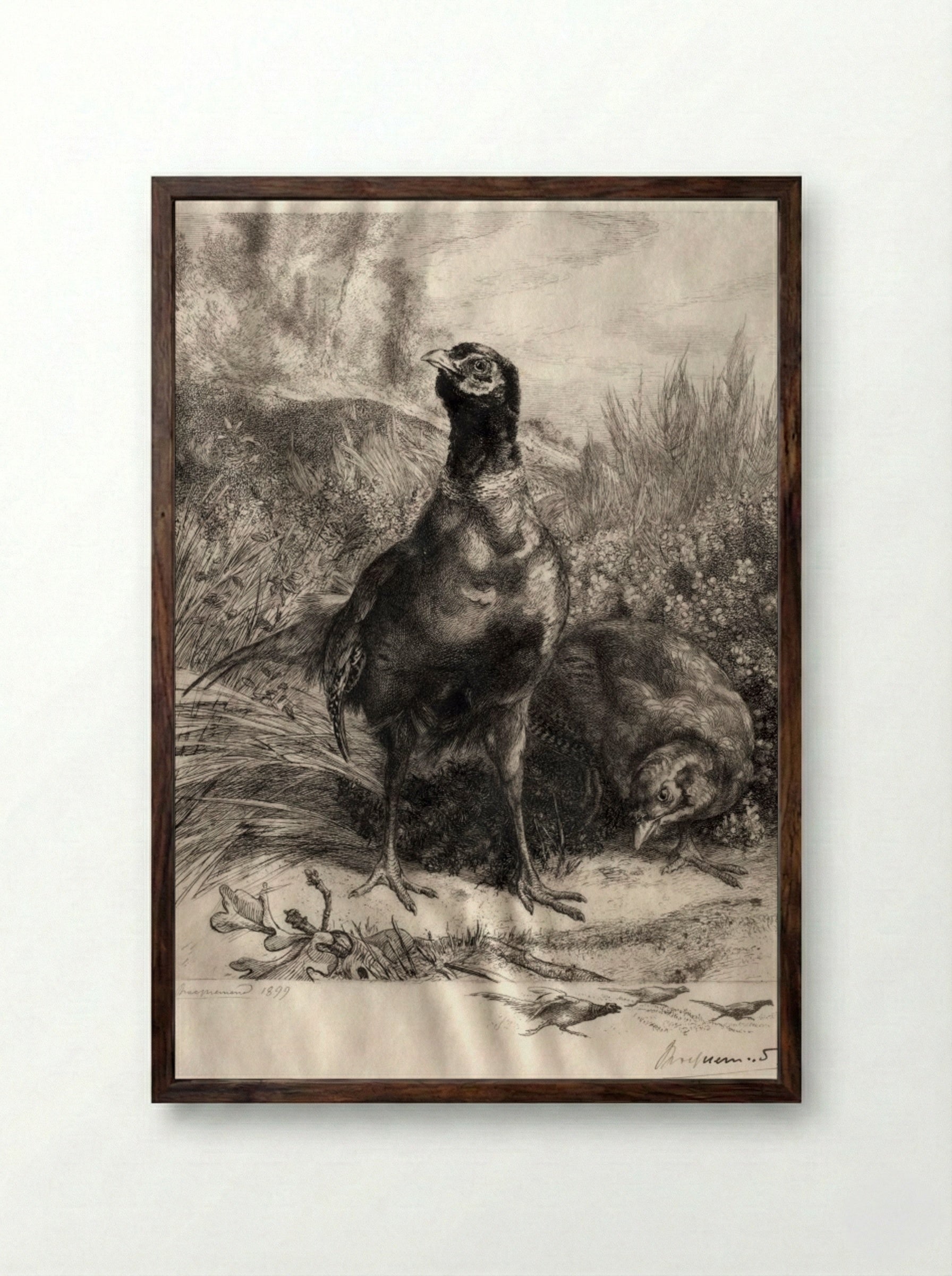 The Pheasants - Félix Bracquemond - Framed Print Dark Wood