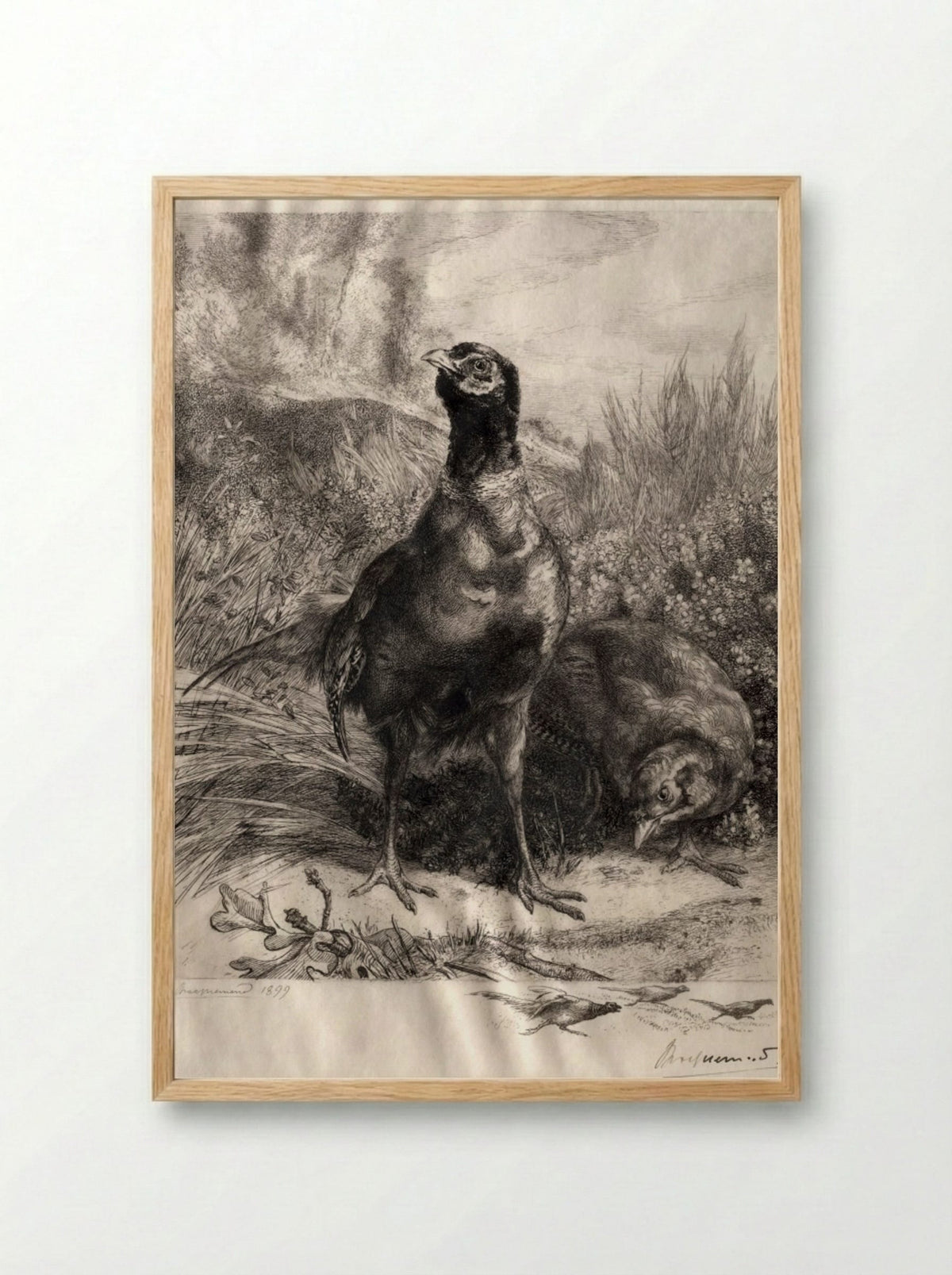 The Pheasants - Félix Bracquemond - Framed Print Wood