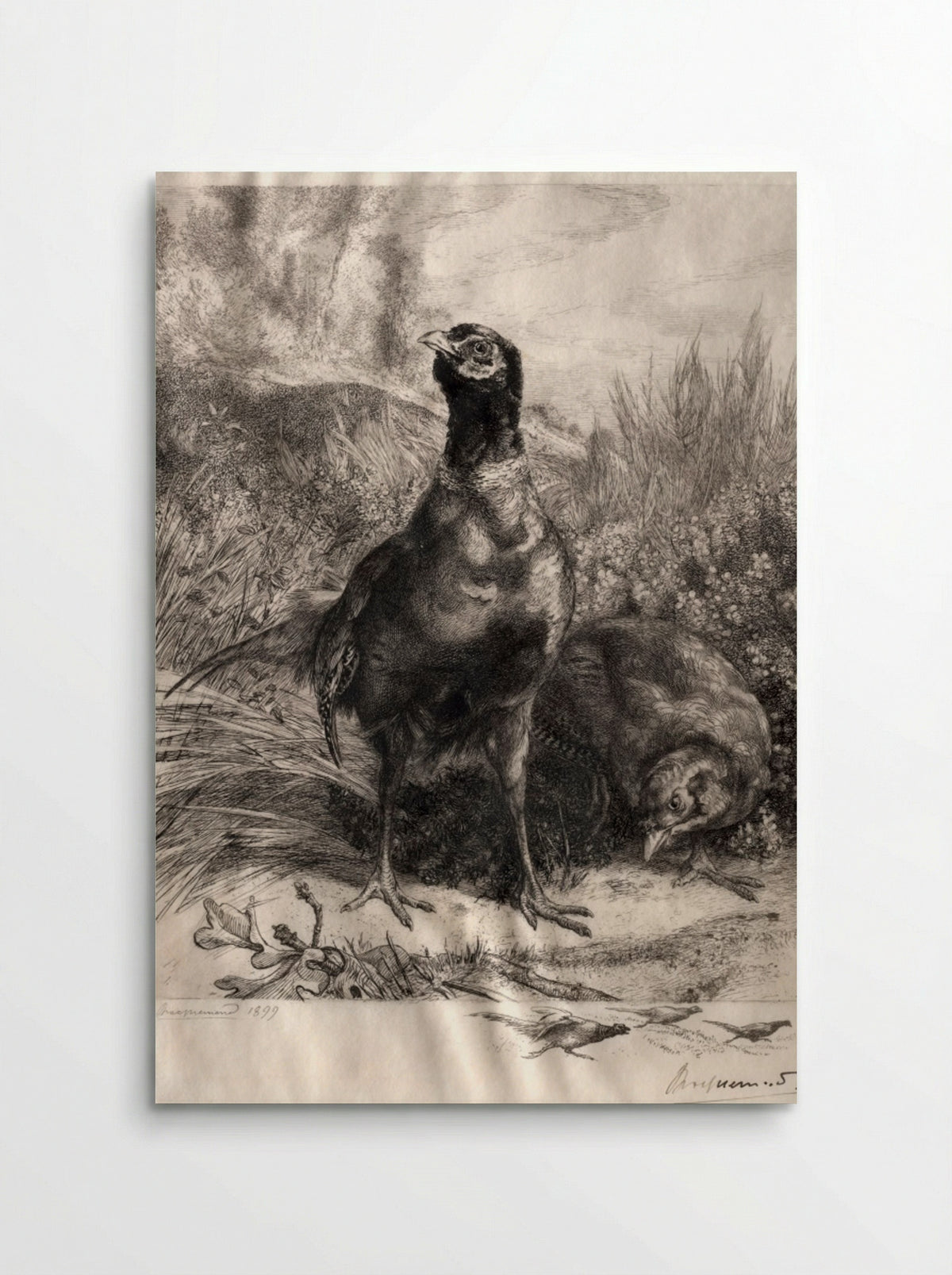 The Pheasants - Félix Bracquemond - Poster