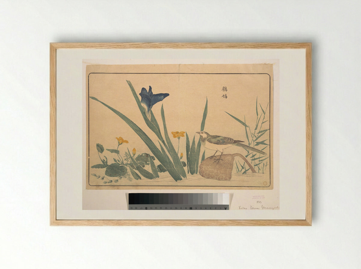 The Pied Wagtail - Kuwagata Keisai - Framed Print Wood