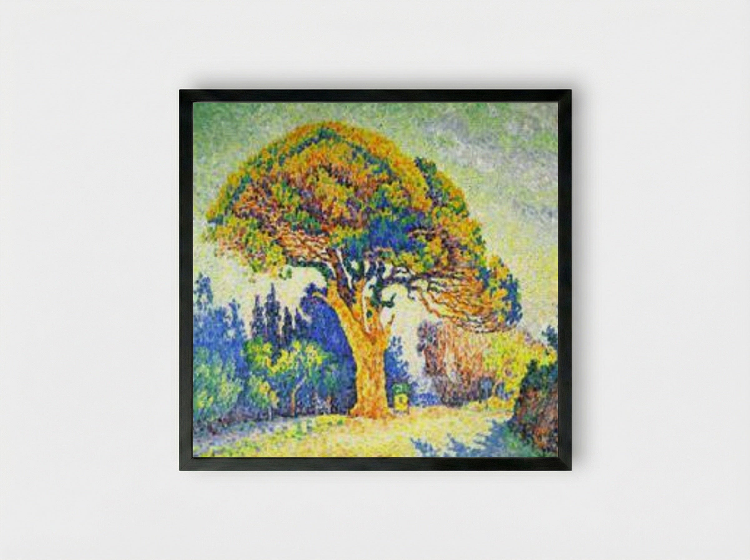 The Pine Tree at St. Tropez - Paul Signac - Framed Print Black