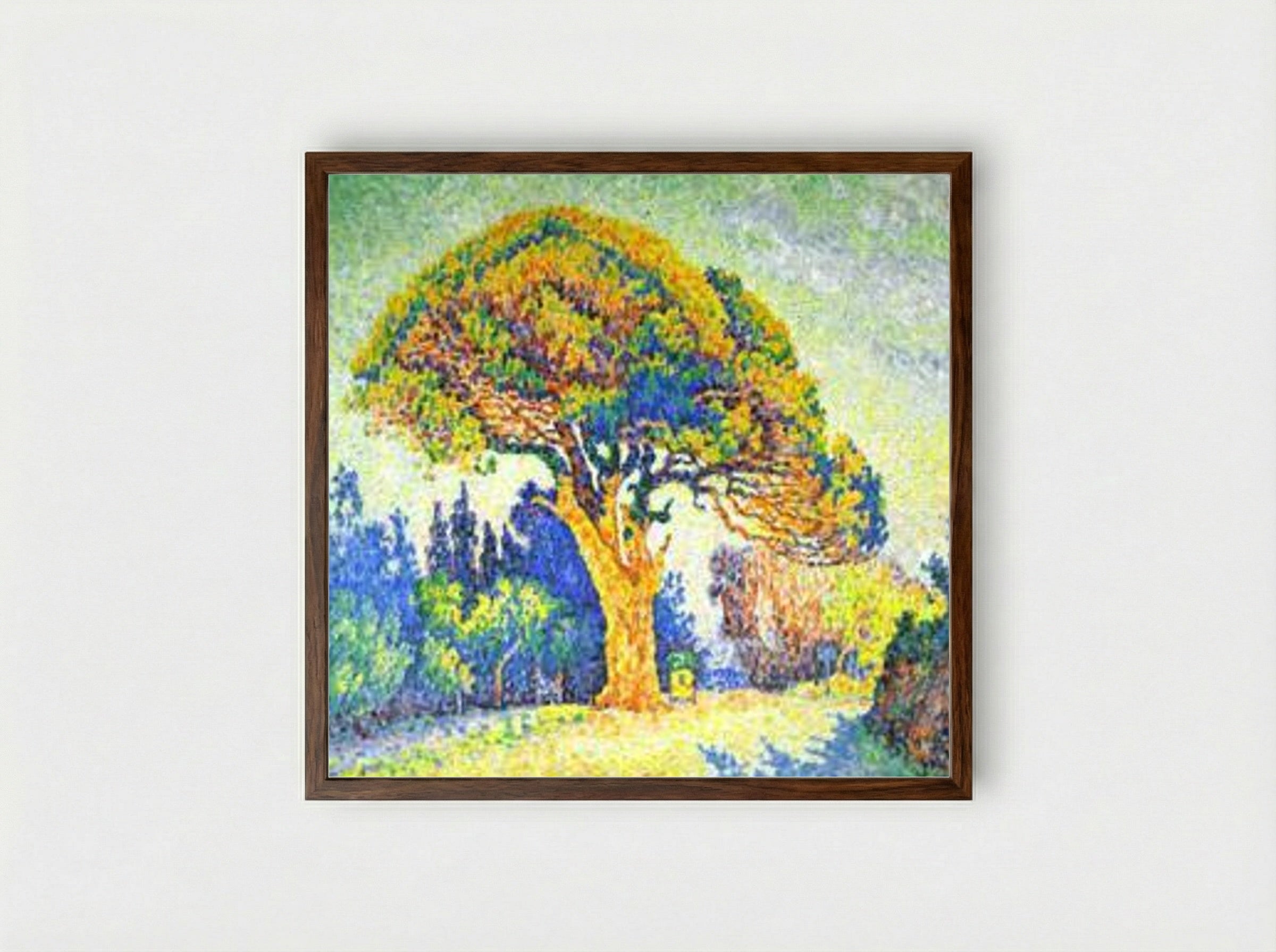 The Pine Tree at St. Tropez - Paul Signac - Framed Print Dark Wood