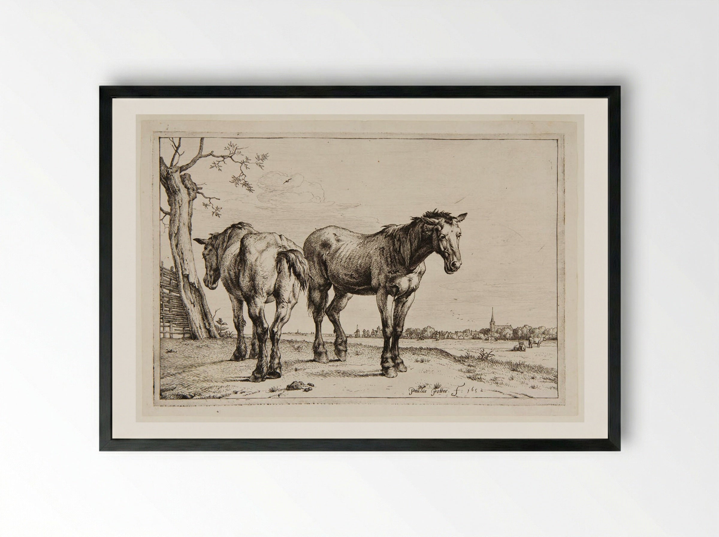 The Plough-horses - Paulus Potter - Framed Print Black