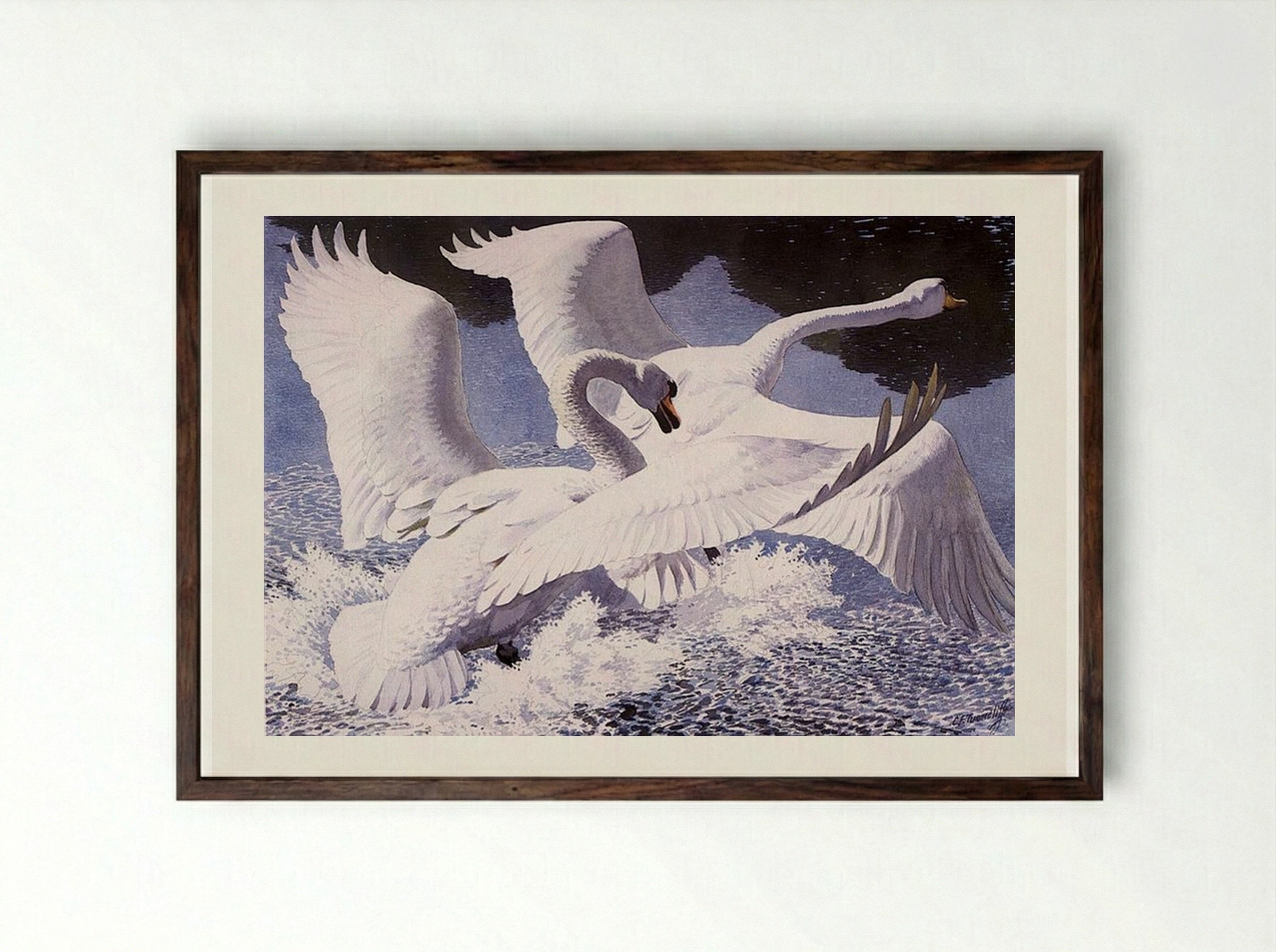The Rivals - Charles Tunnicliffe - Framed Print Dark Wood