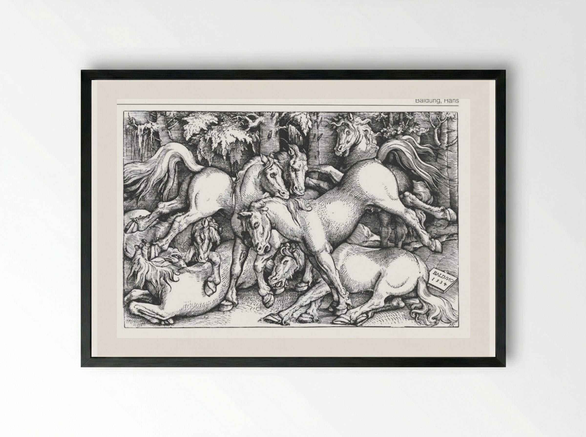 The Seven Wild Horses - Hans Baldung Grien - Framed Print Black
