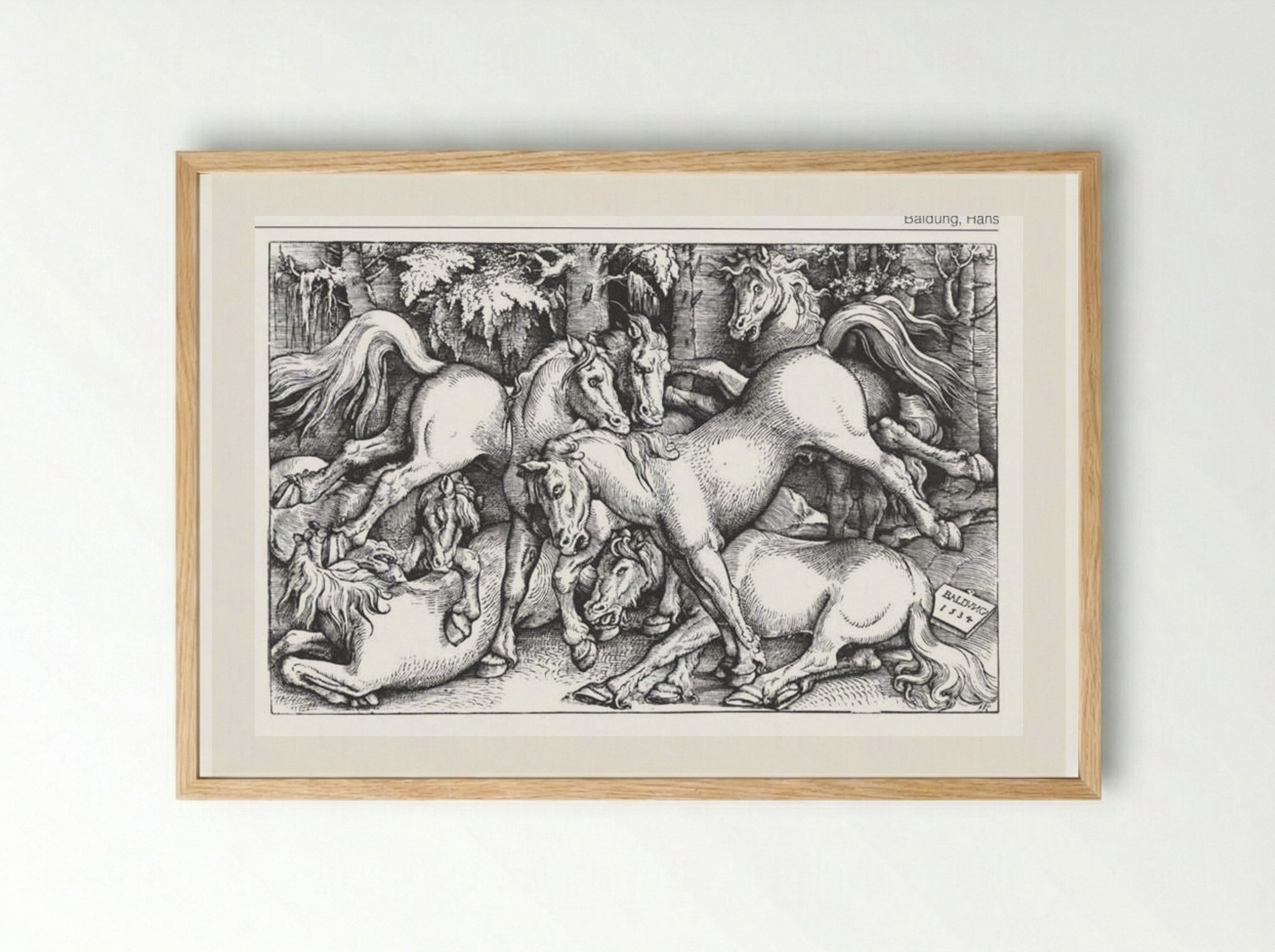 The Seven Wild Horses - Hans Baldung Grien - Framed Print Wood