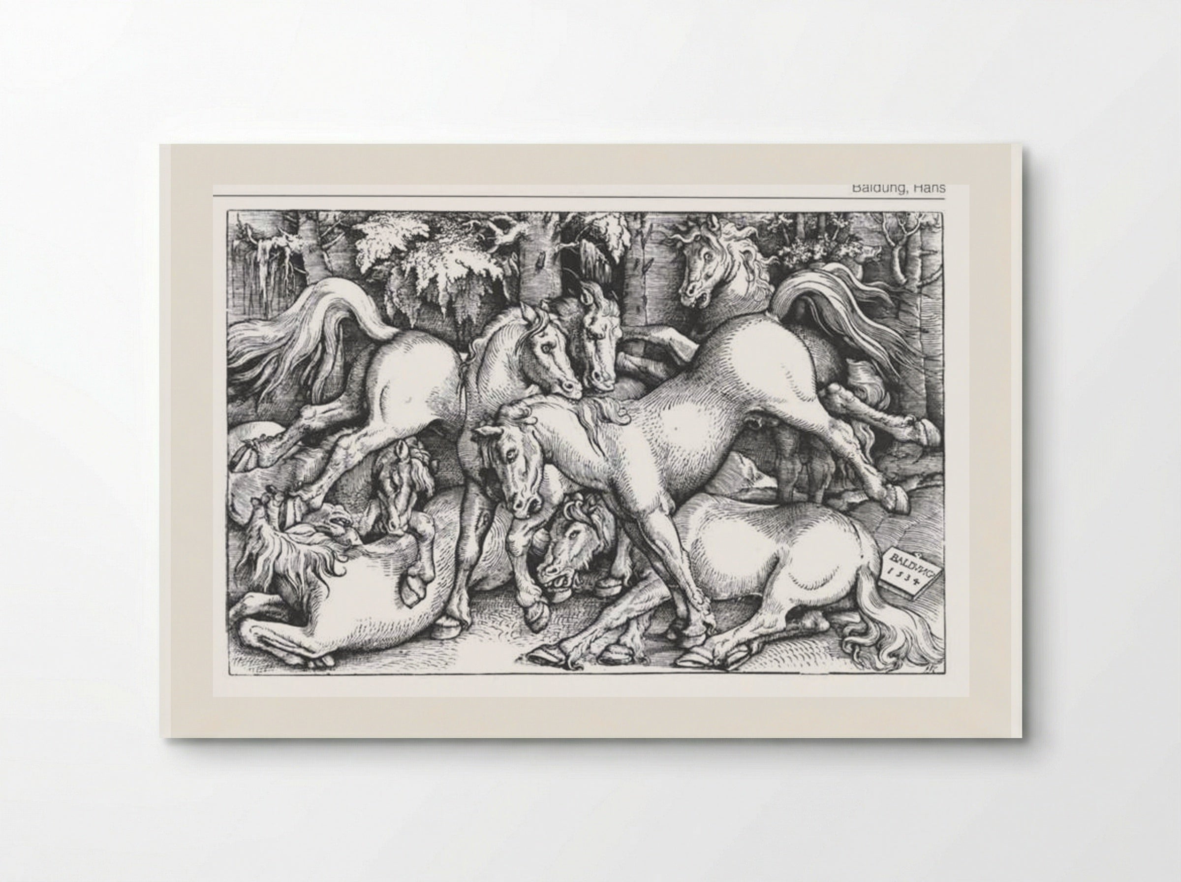 The Seven Wild Horses - Hans Baldung Grien - Poster