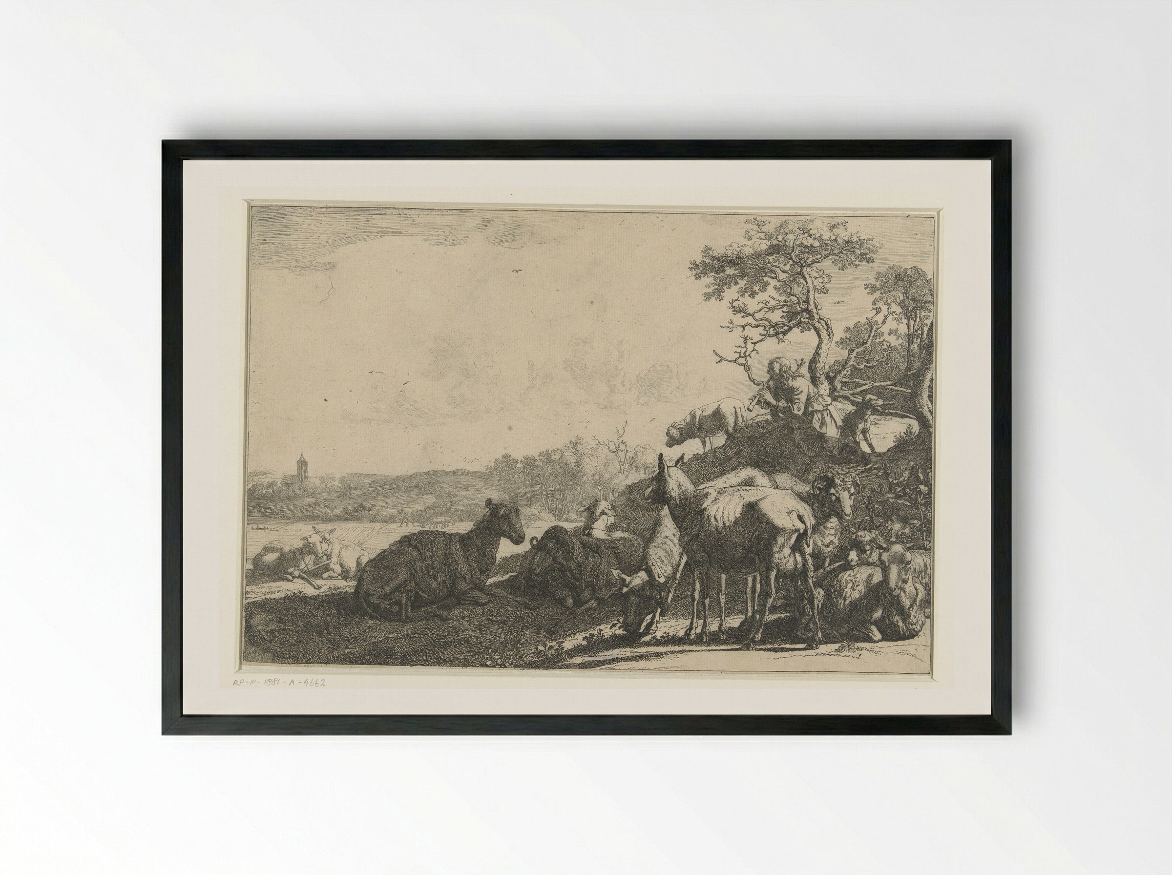 The Shepherd - Paulus Potter - Framed Print Black