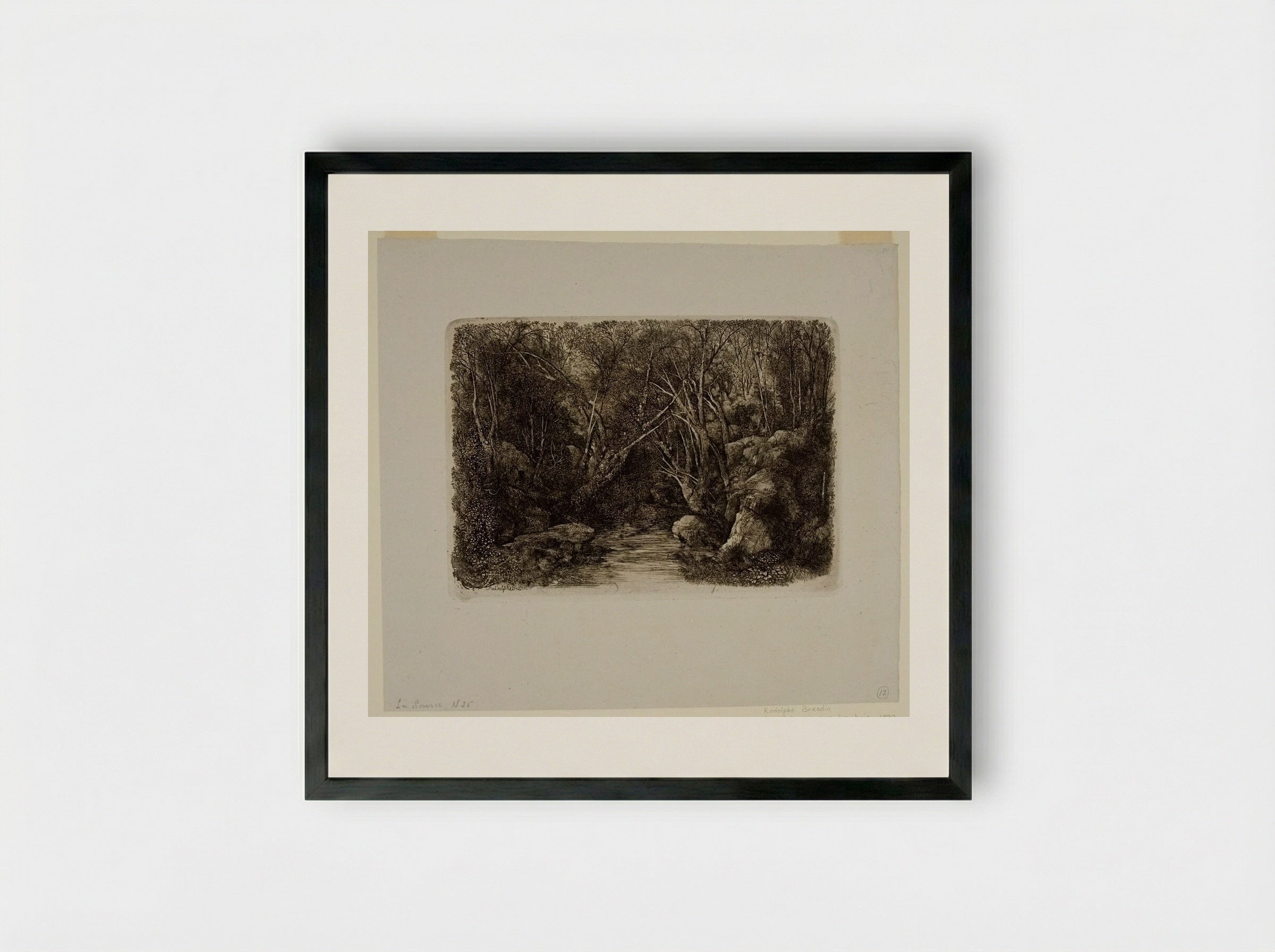 The Source (The Brook in the Forest) - Rodolphe Bresdin - Framed Print Black