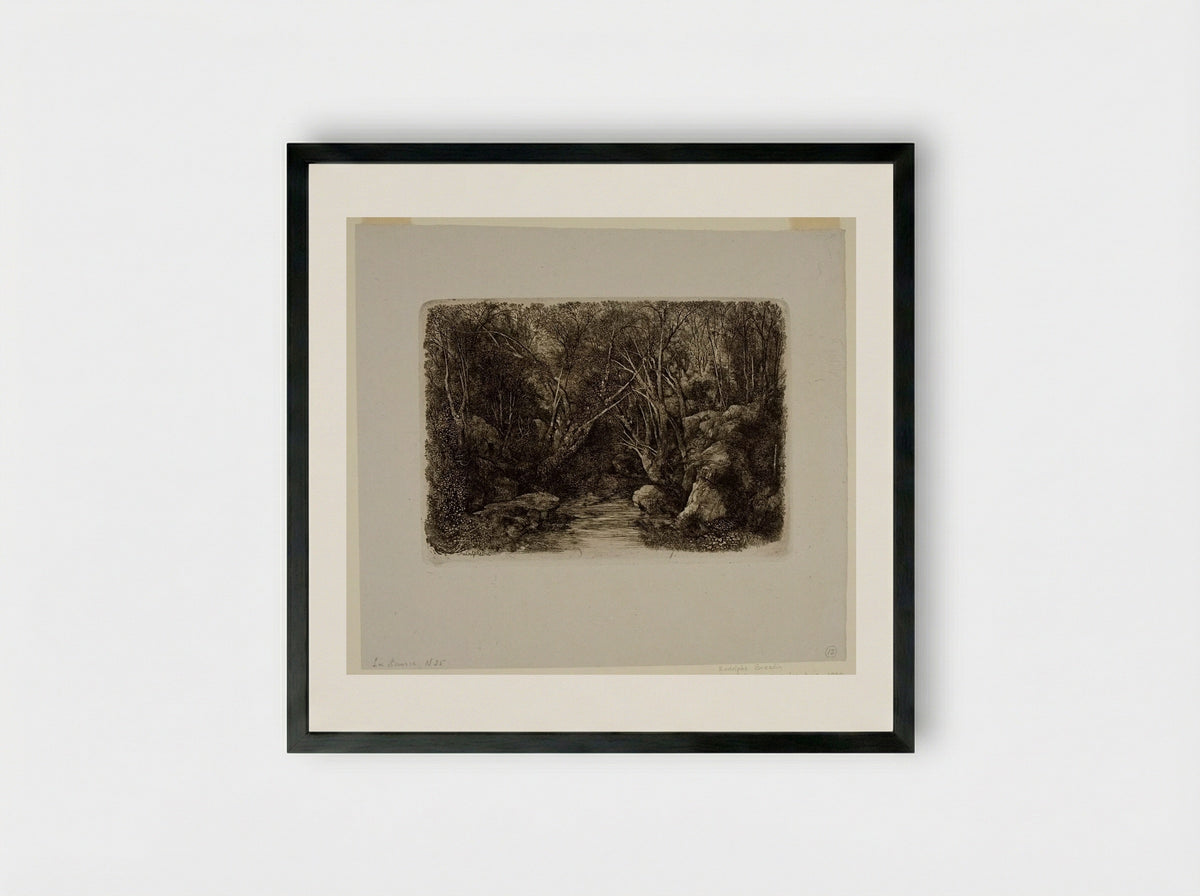 The Source (The Brook in the Forest) - Rodolphe Bresdin - Framed Print Black