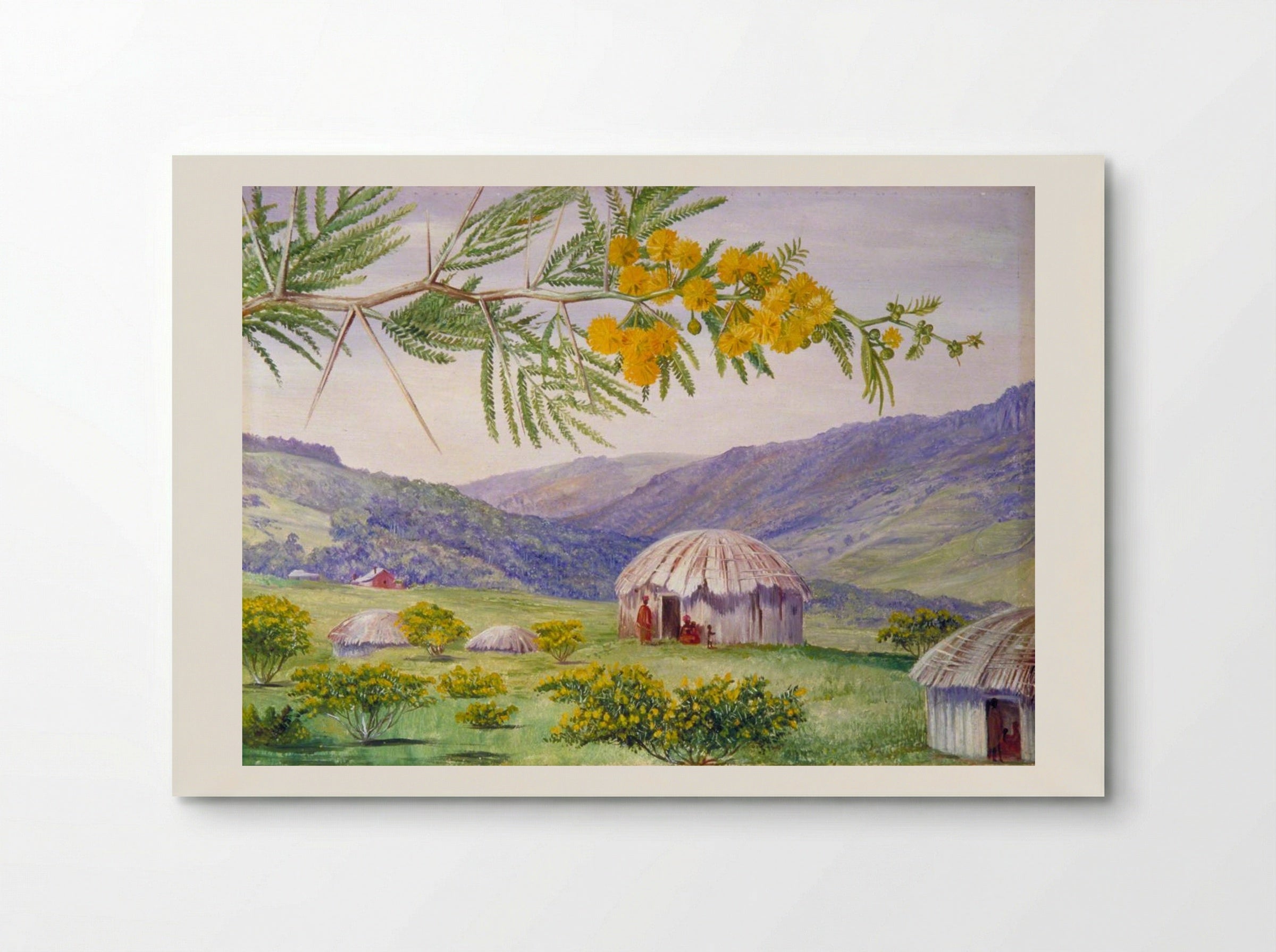 The South African Doornboom and Fingo Huts - Marianne North - Poster