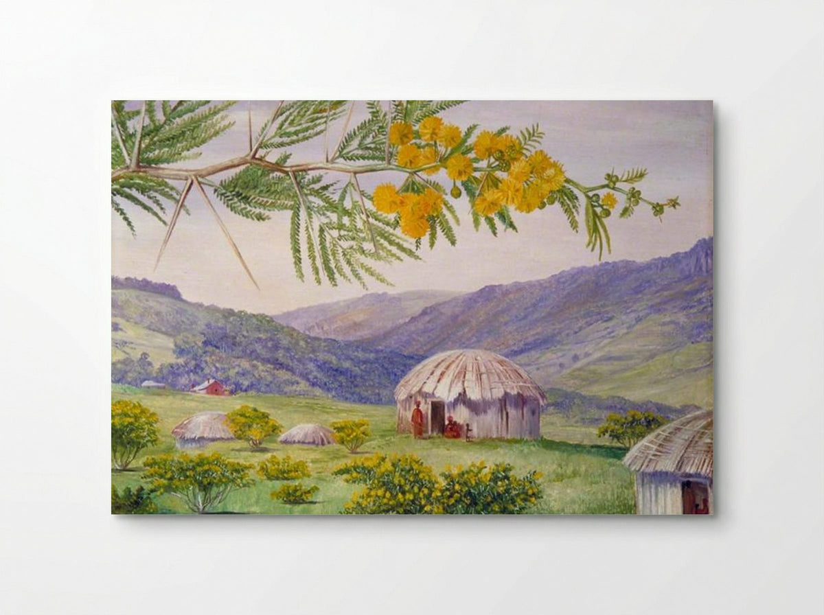 The South African Doornboom and Fingo Huts - Marianne North - Poster