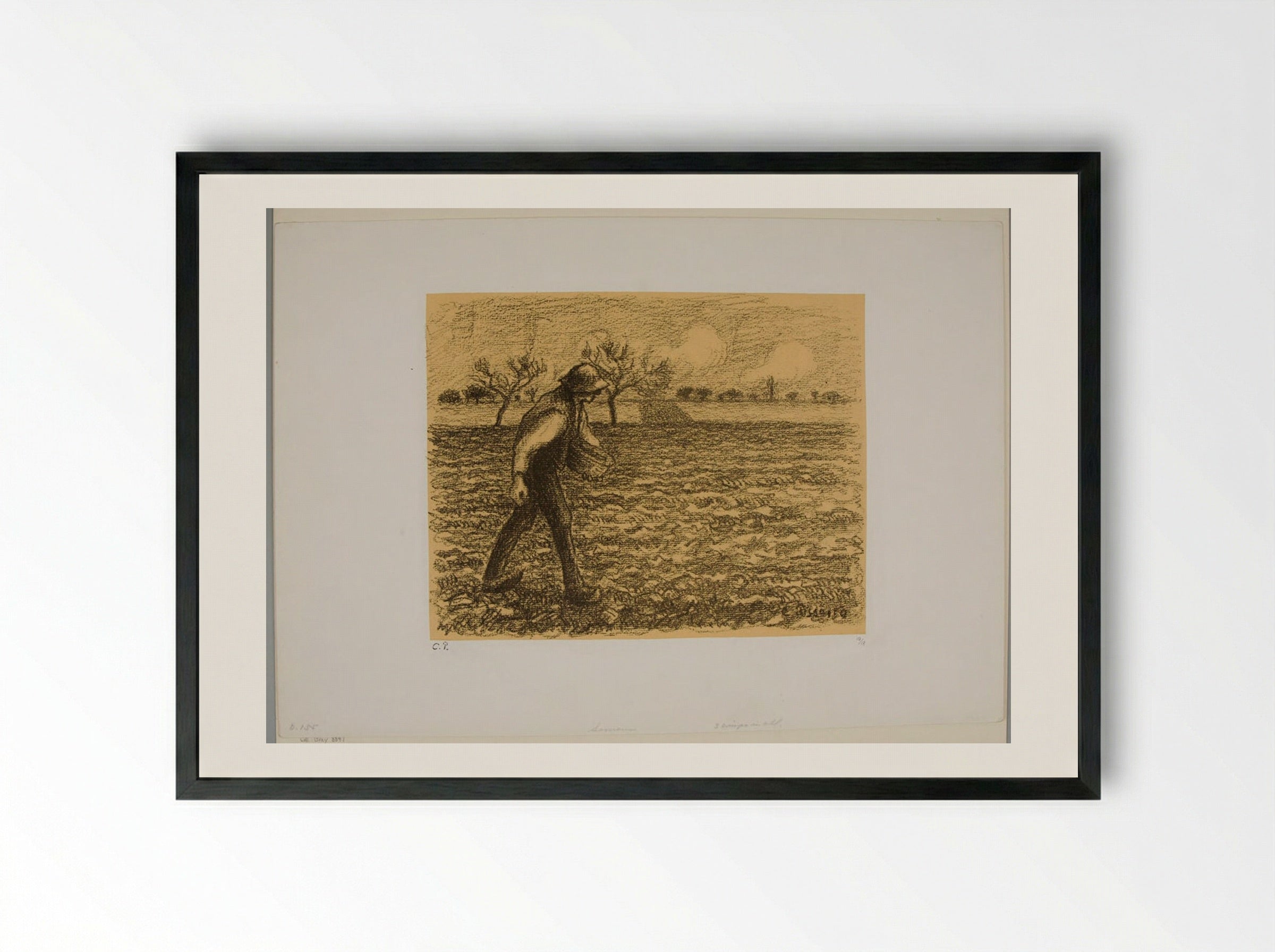 The Sower - Camille Pissarro - Framed Print Black