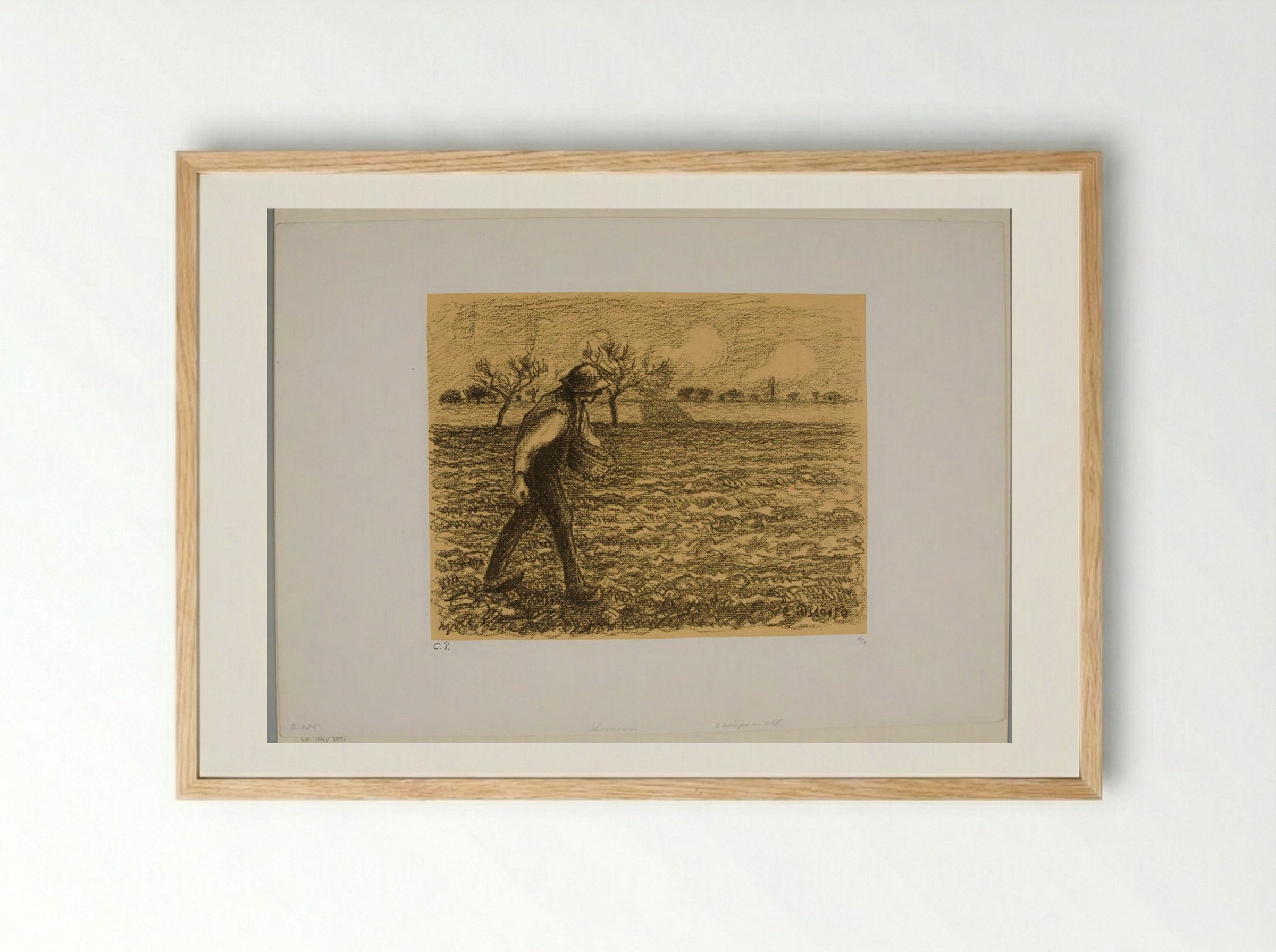 The Sower - Camille Pissarro - Framed Print Wood