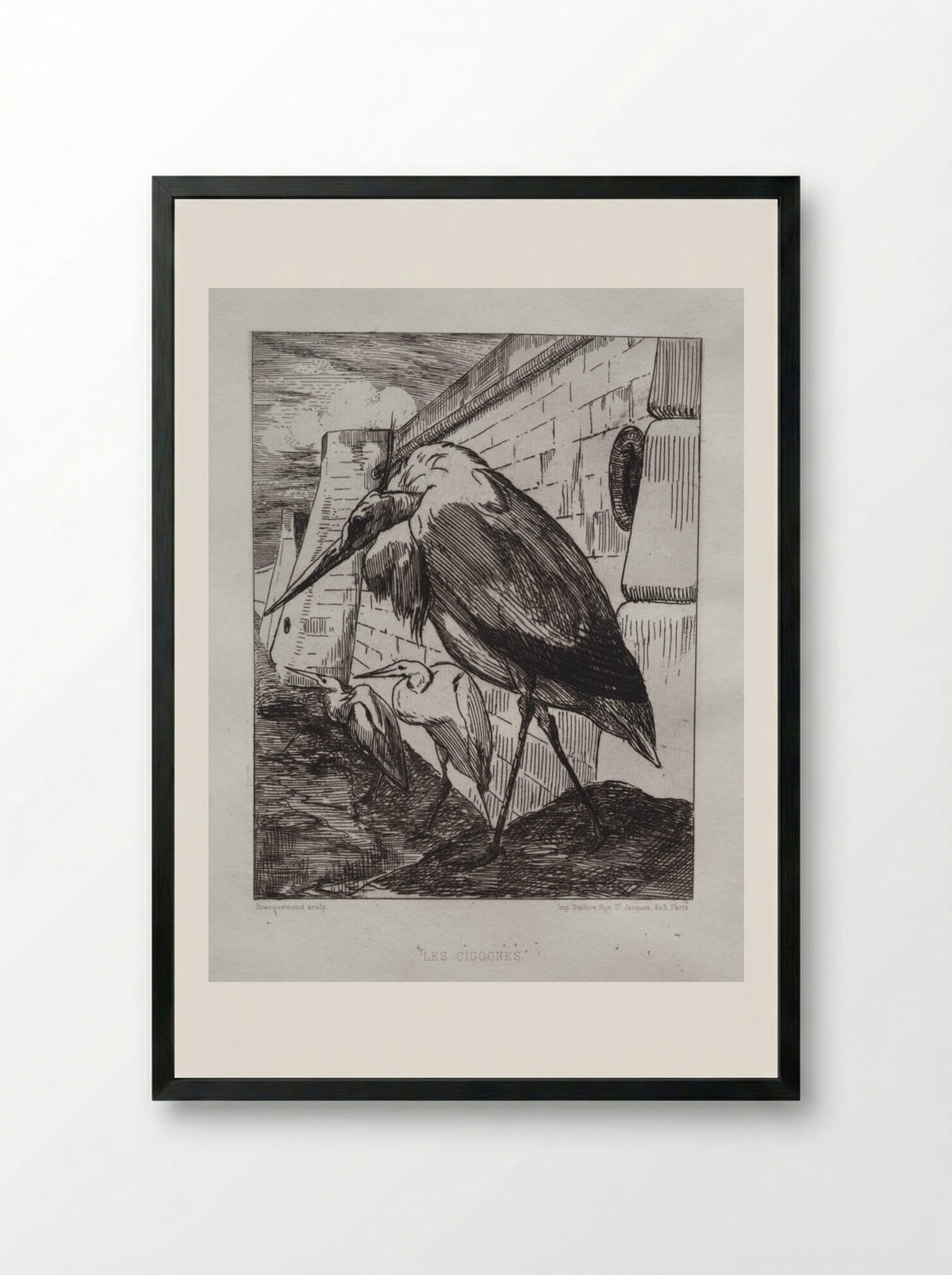 The Storks - Félix Bracquemond - Framed Print Black