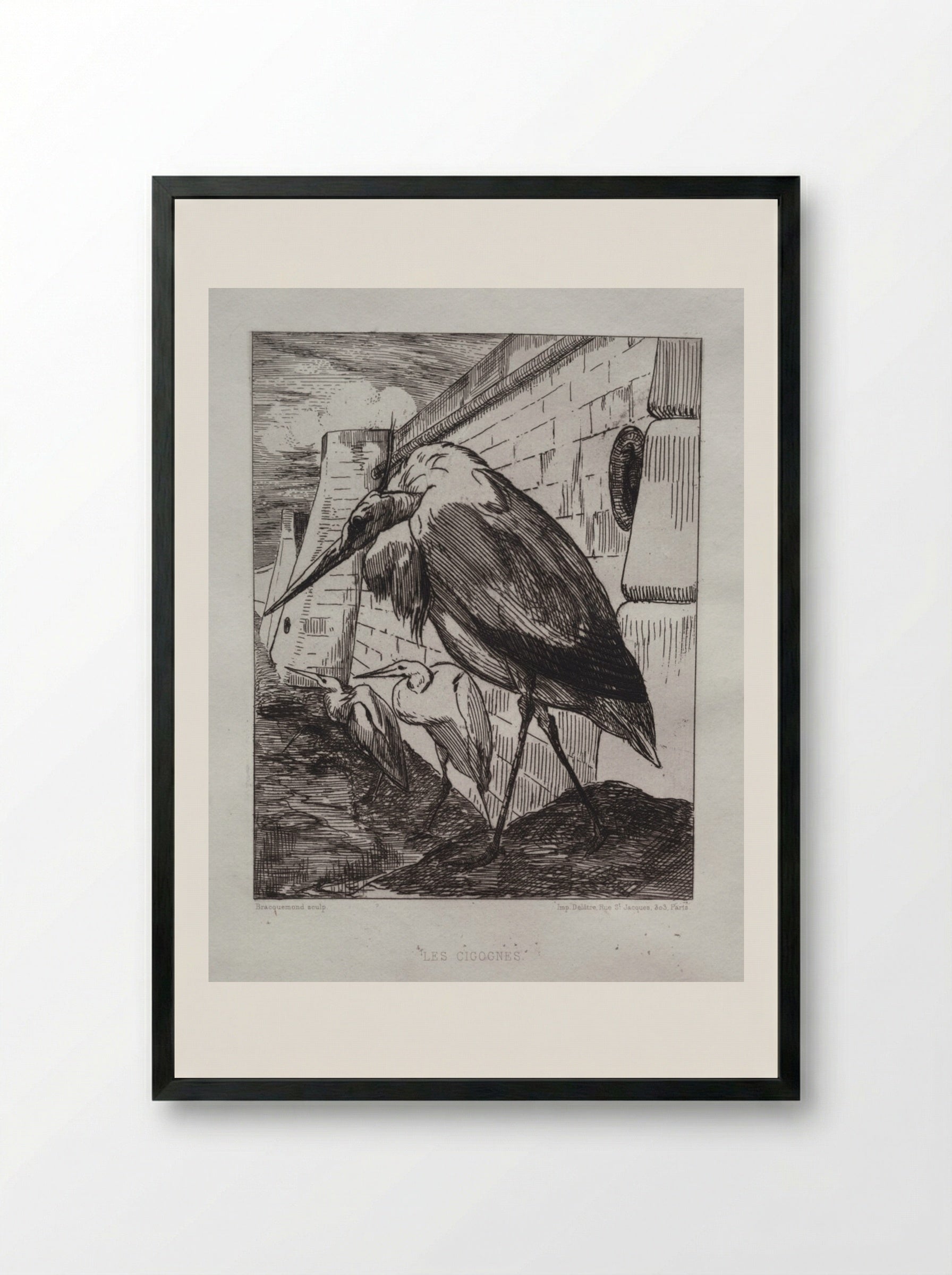 The Storks - Félix Bracquemond - Framed Print Black