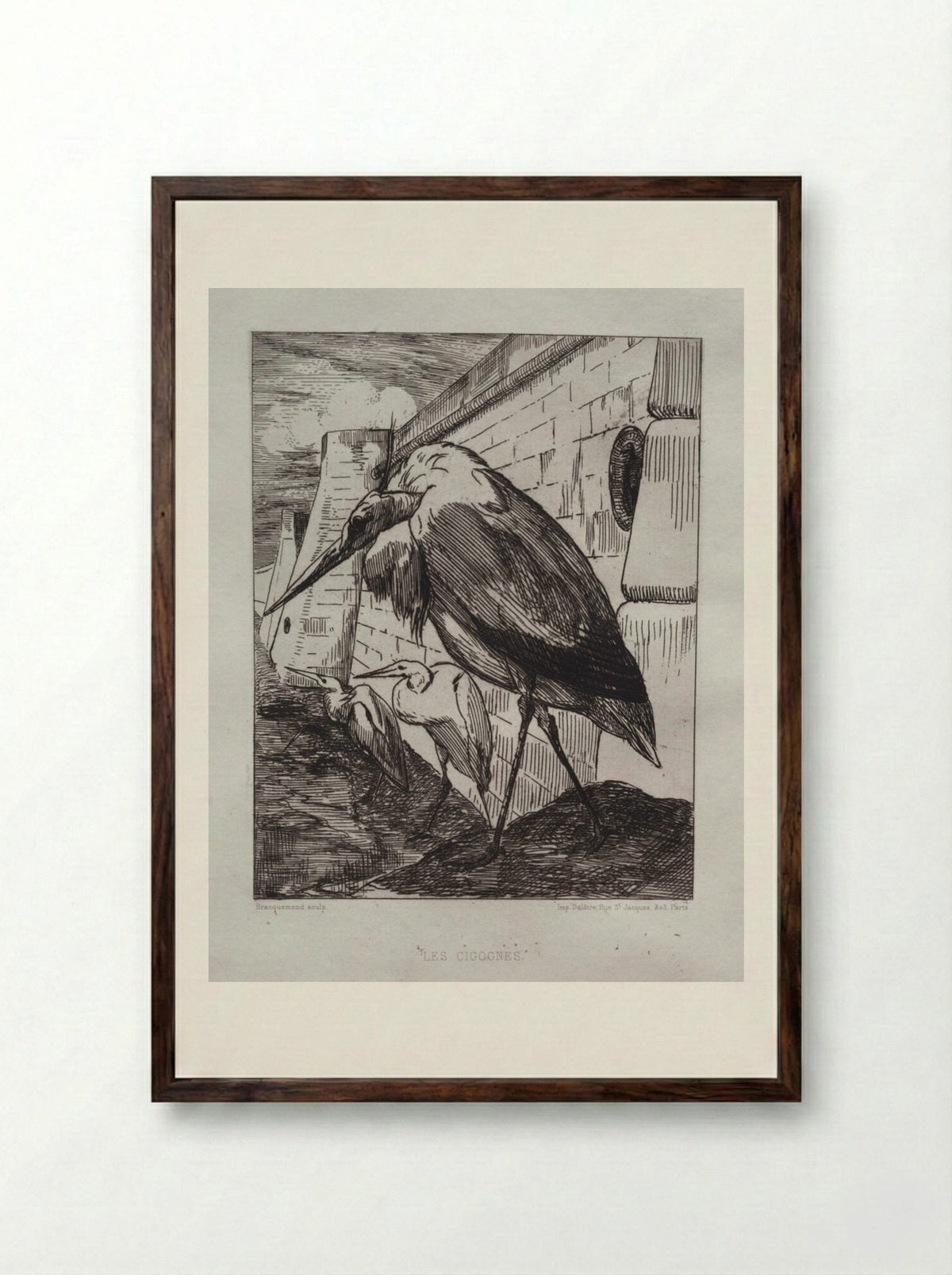 The Storks - Félix Bracquemond - Framed Print Dark Wood