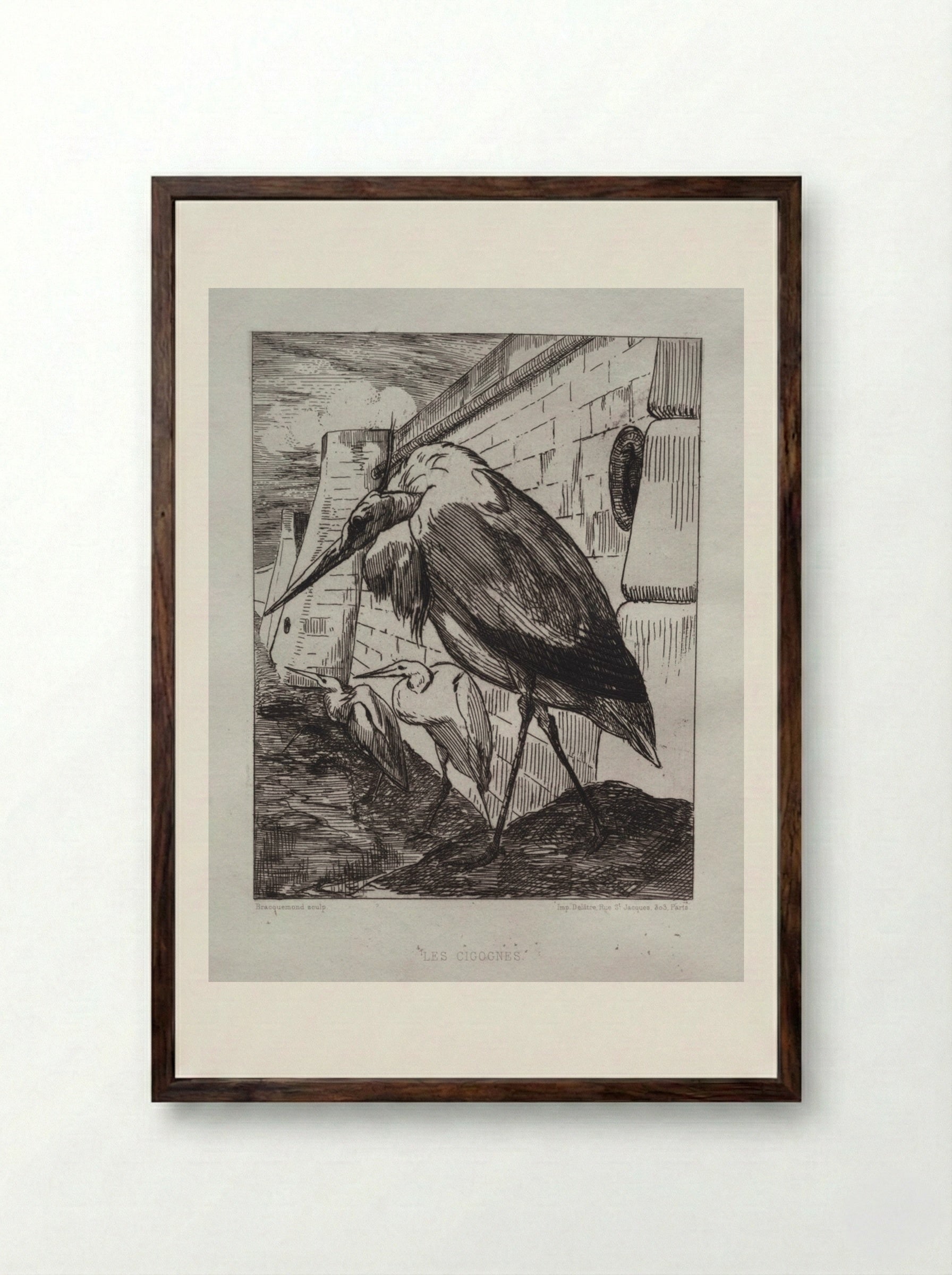 The Storks - Félix Bracquemond - Framed Print Dark Wood