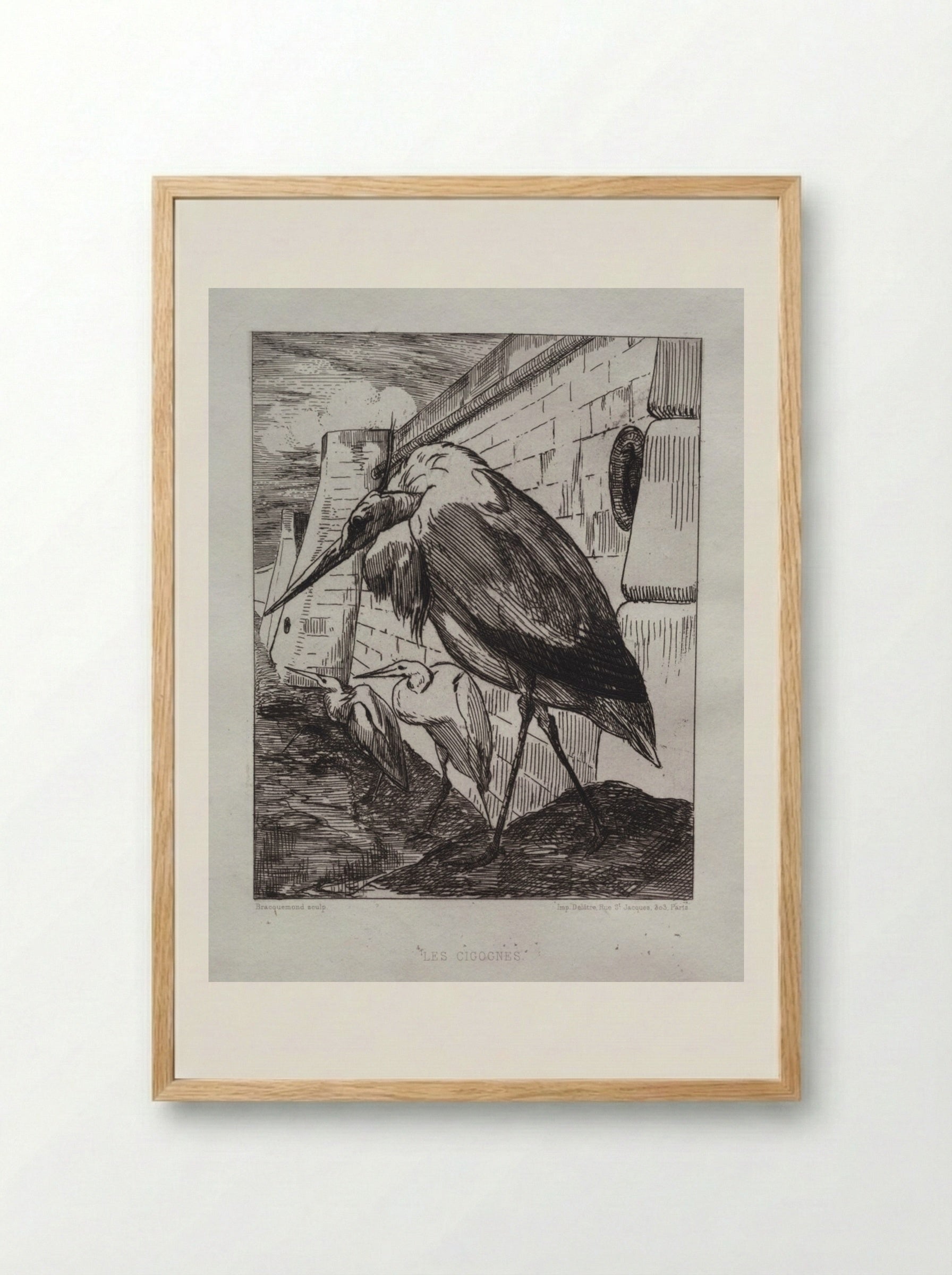 The Storks - Félix Bracquemond - Framed Print Wood