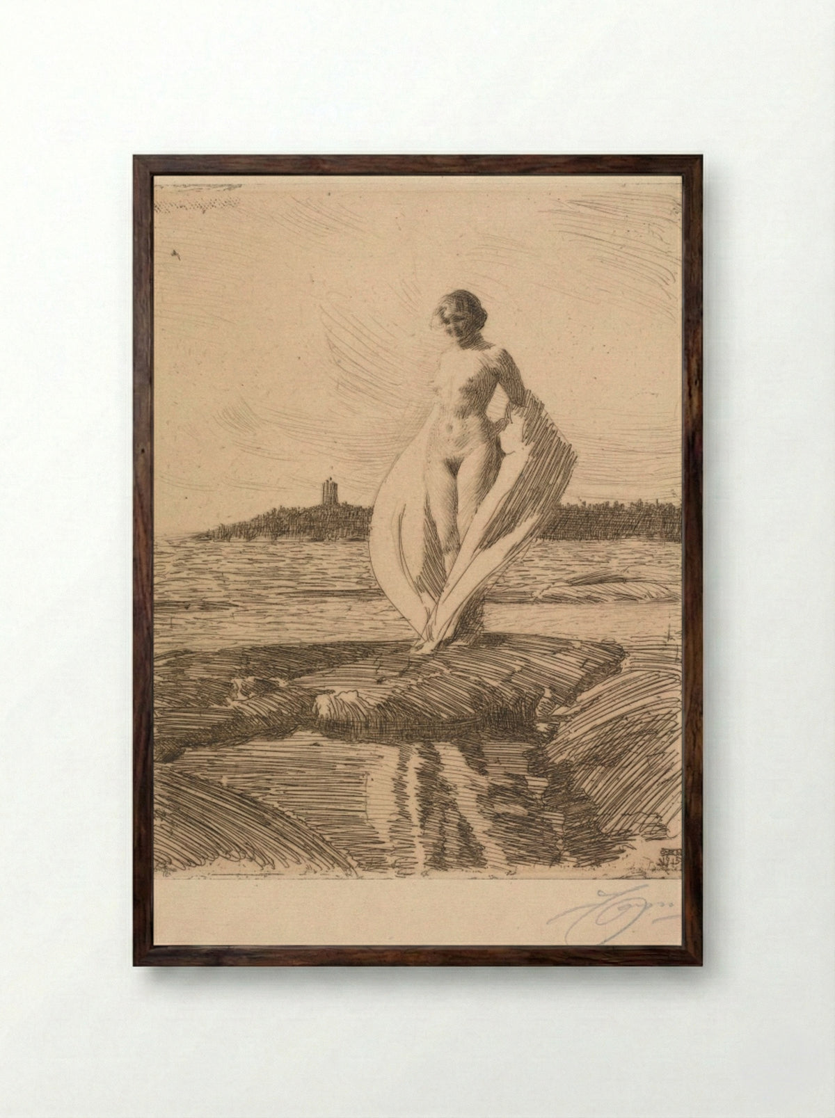 The Swan - Anders Zorn - Framed Print Dark Wood