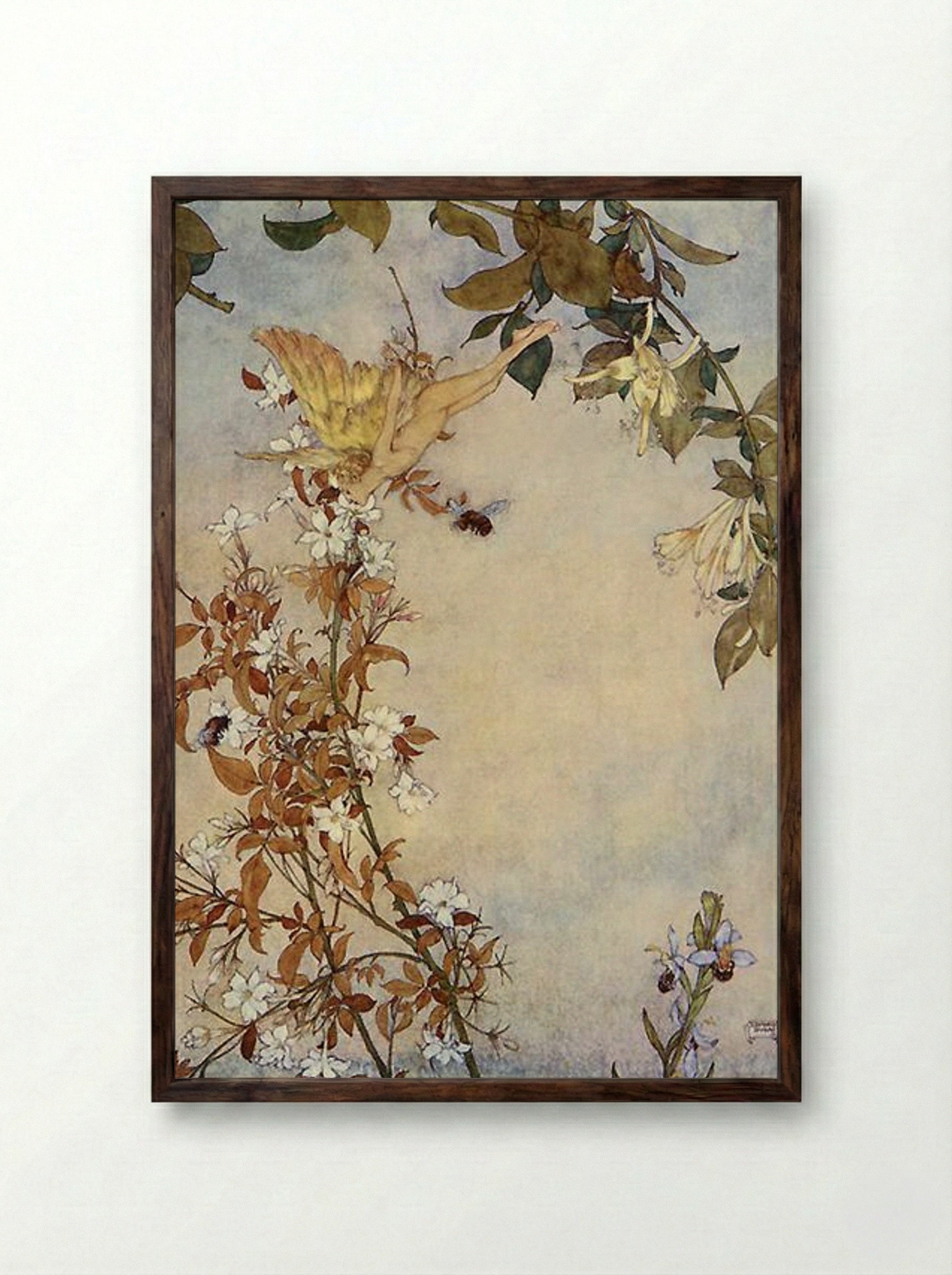 The Tempest: Ariel and the Bee - Edmund Dulac - Framed Print Dark Wood