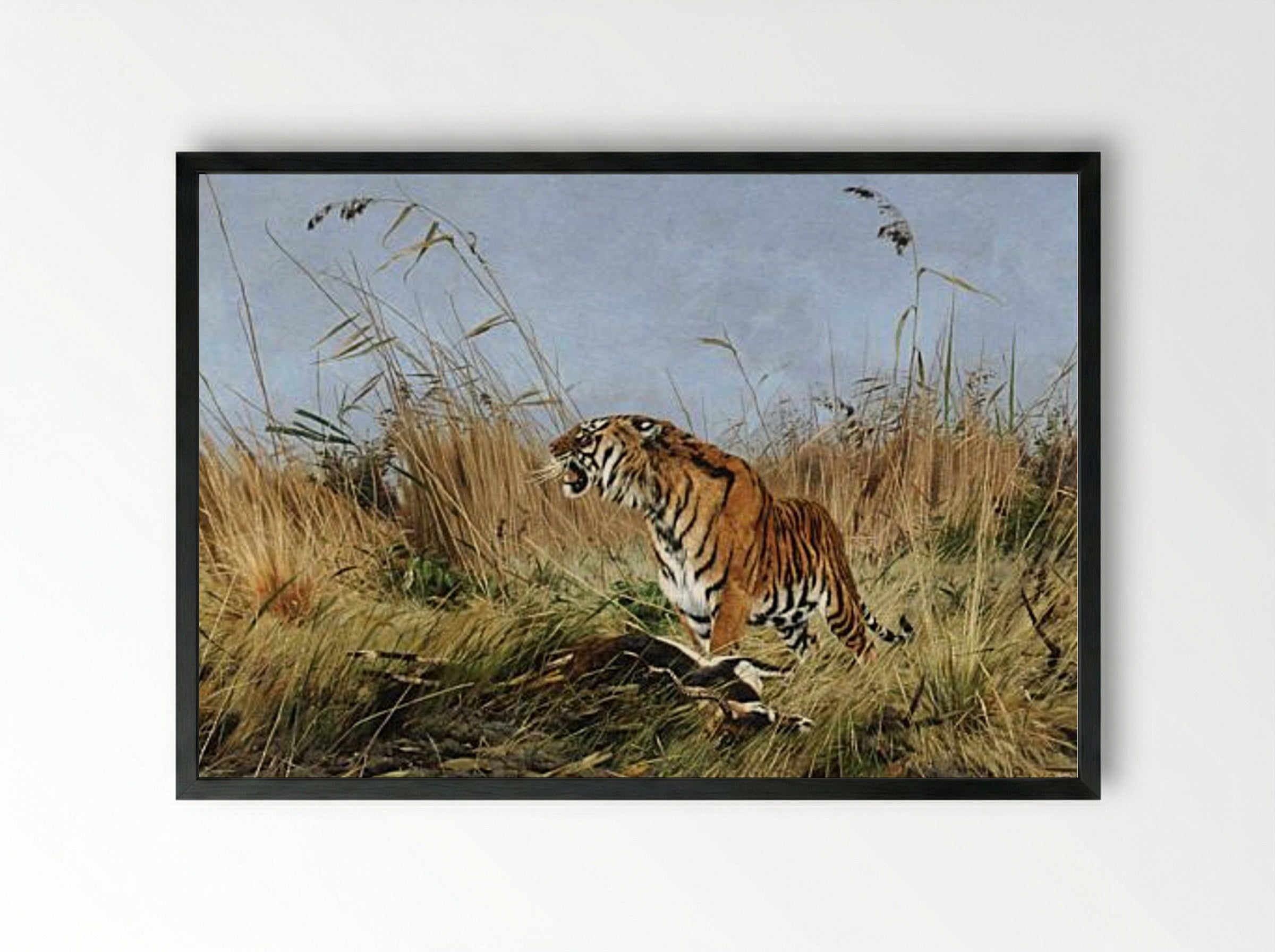 The Tiger - Richard Friese - Framed Print Black